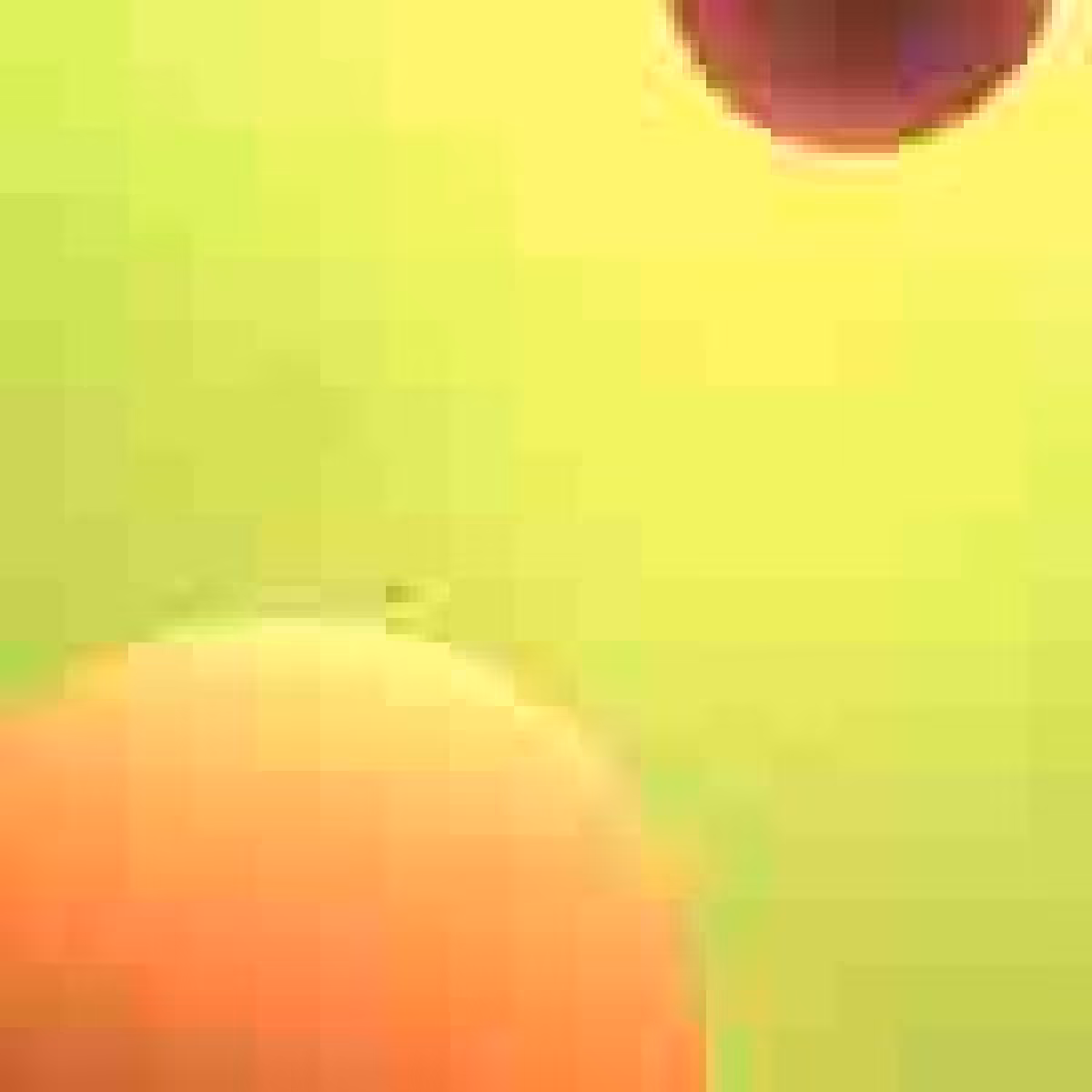 Orbit 499375192