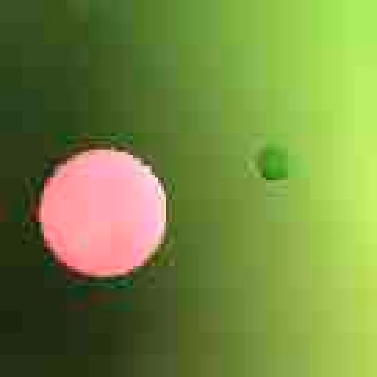 Orbit 989852434