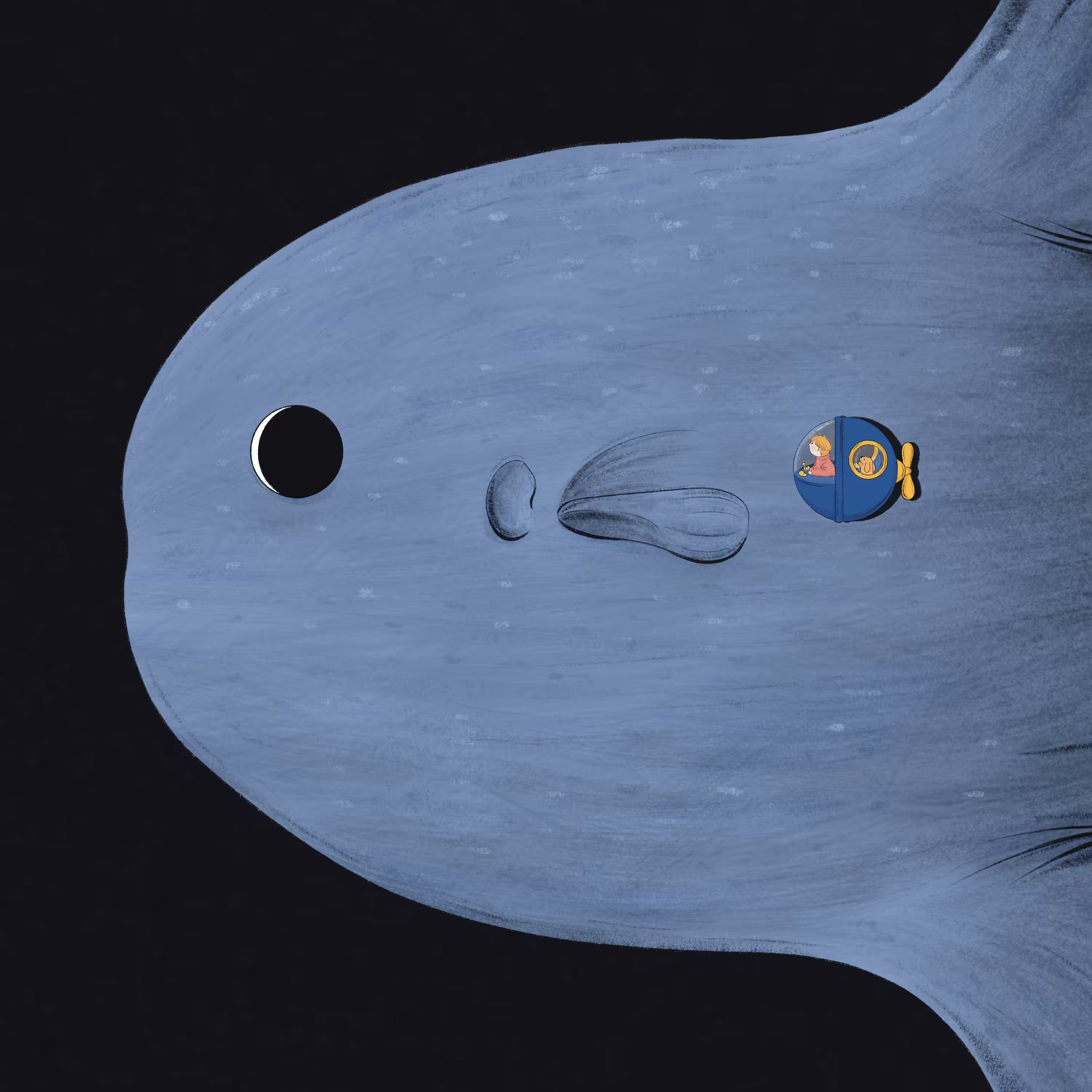 Mola Mola and Me
