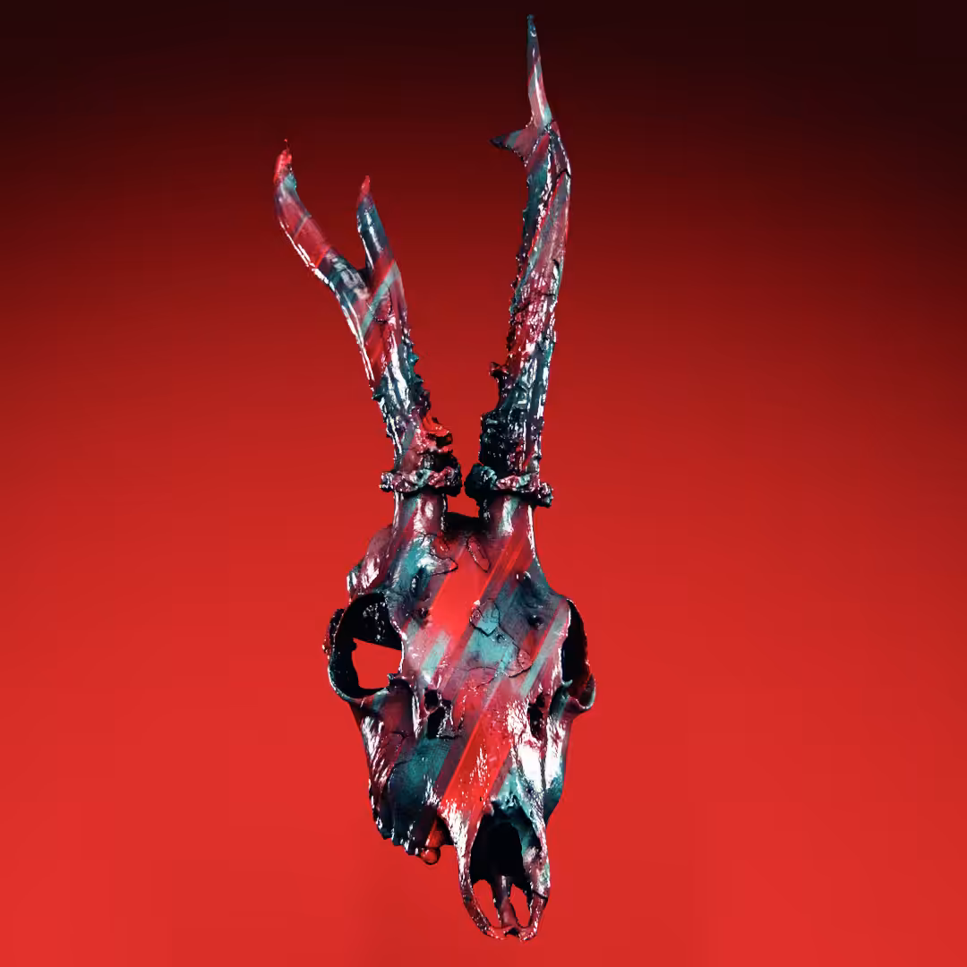 Bone I