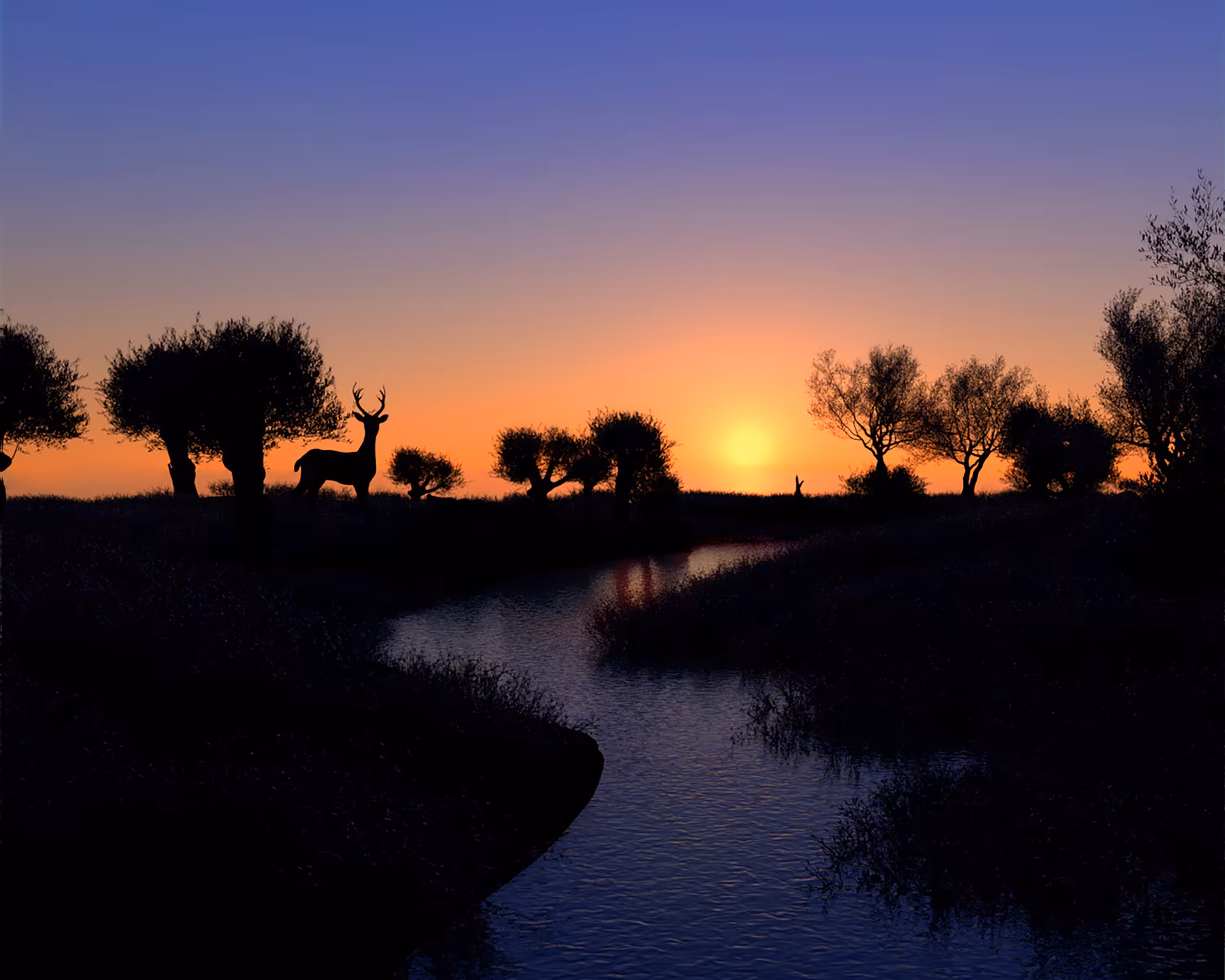 Tranquility