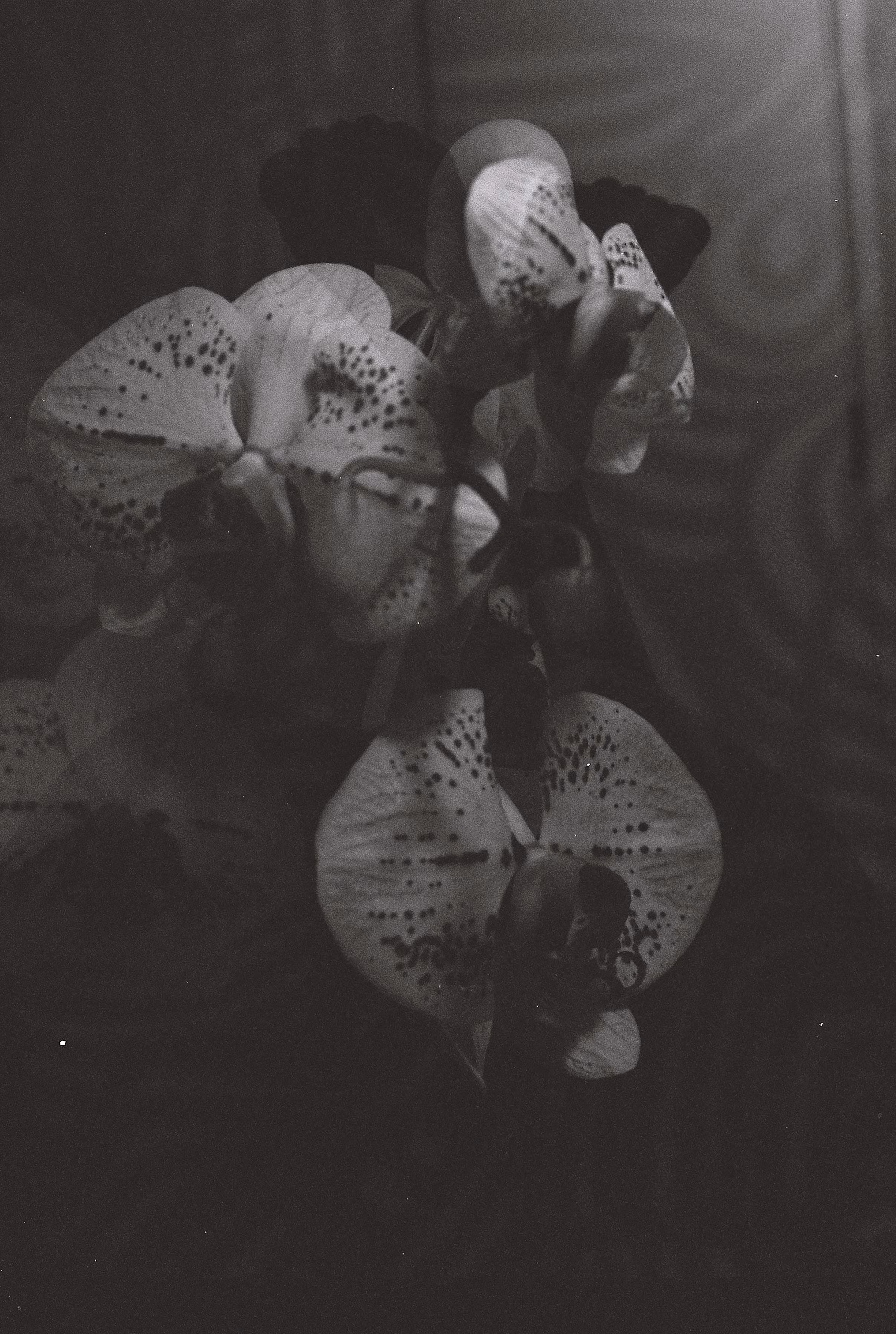 Double Exposure #7