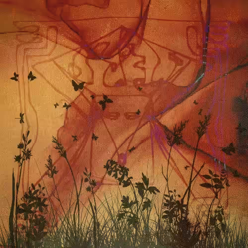 Fox after the little prince