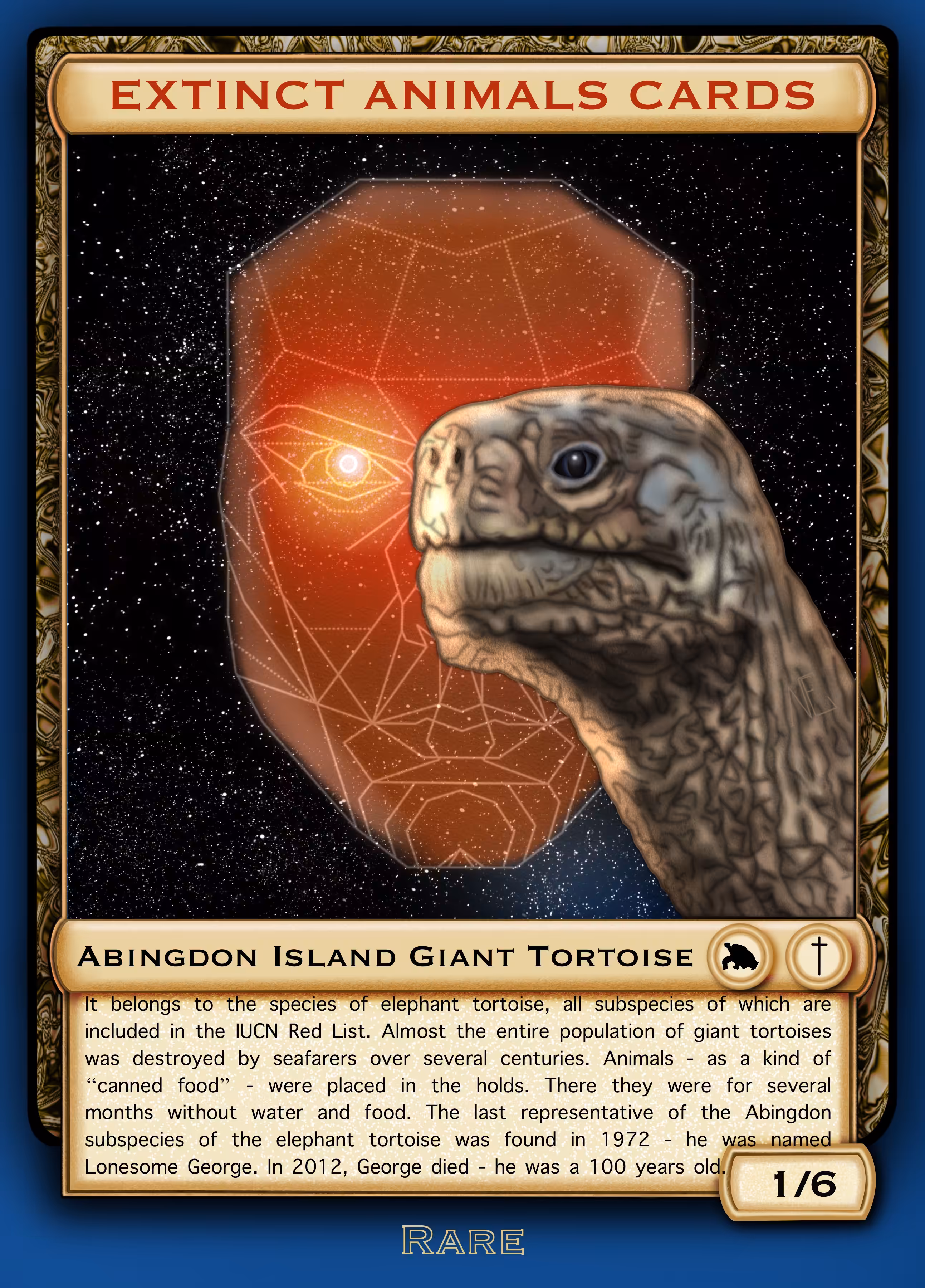 ABINGDON ISLAND GIANT TORTOISE