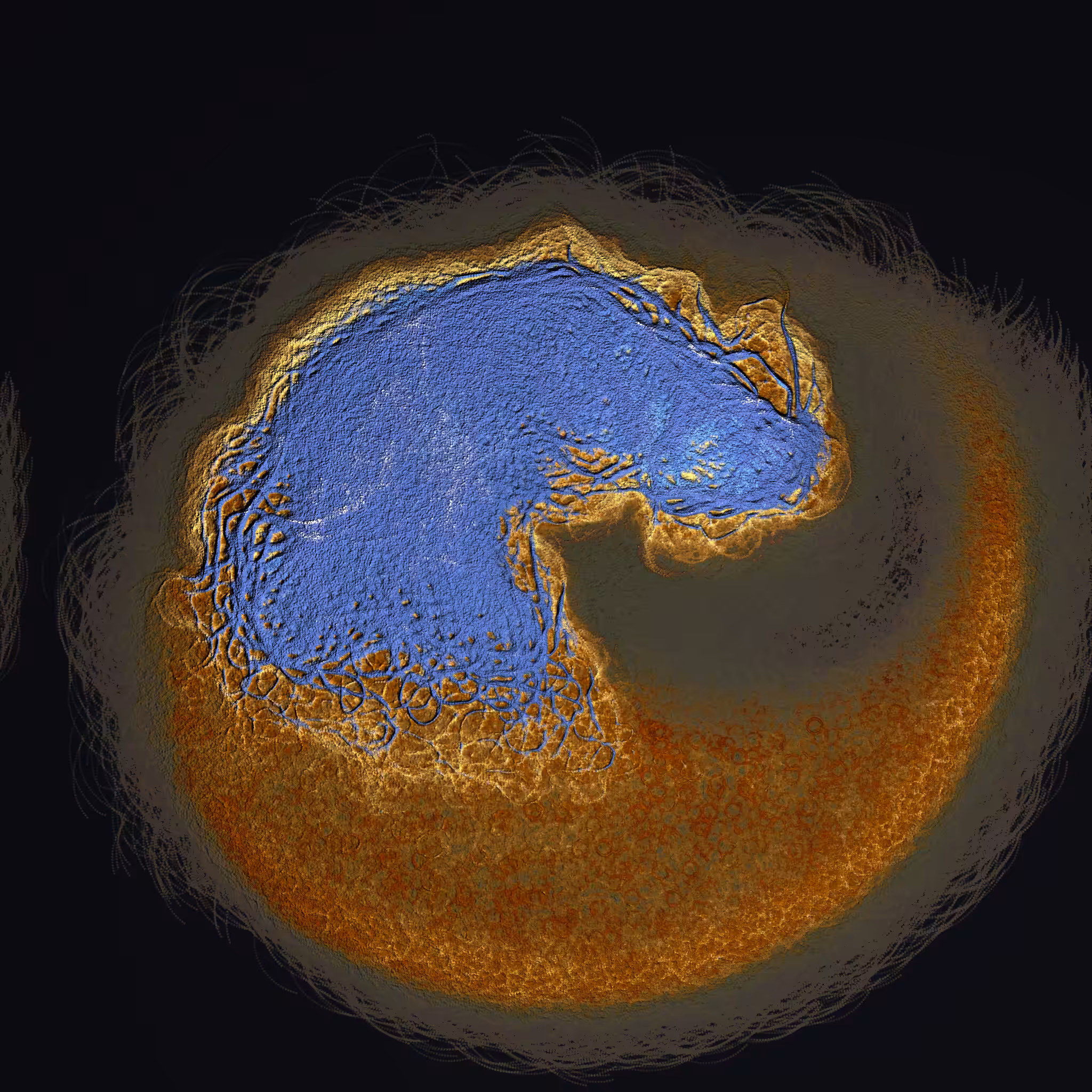 coalescence #252