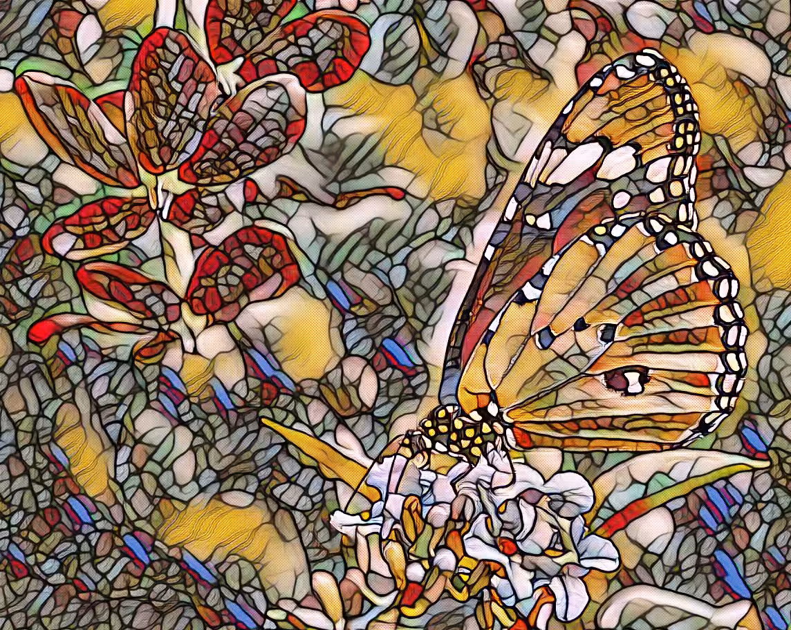 Butterfly