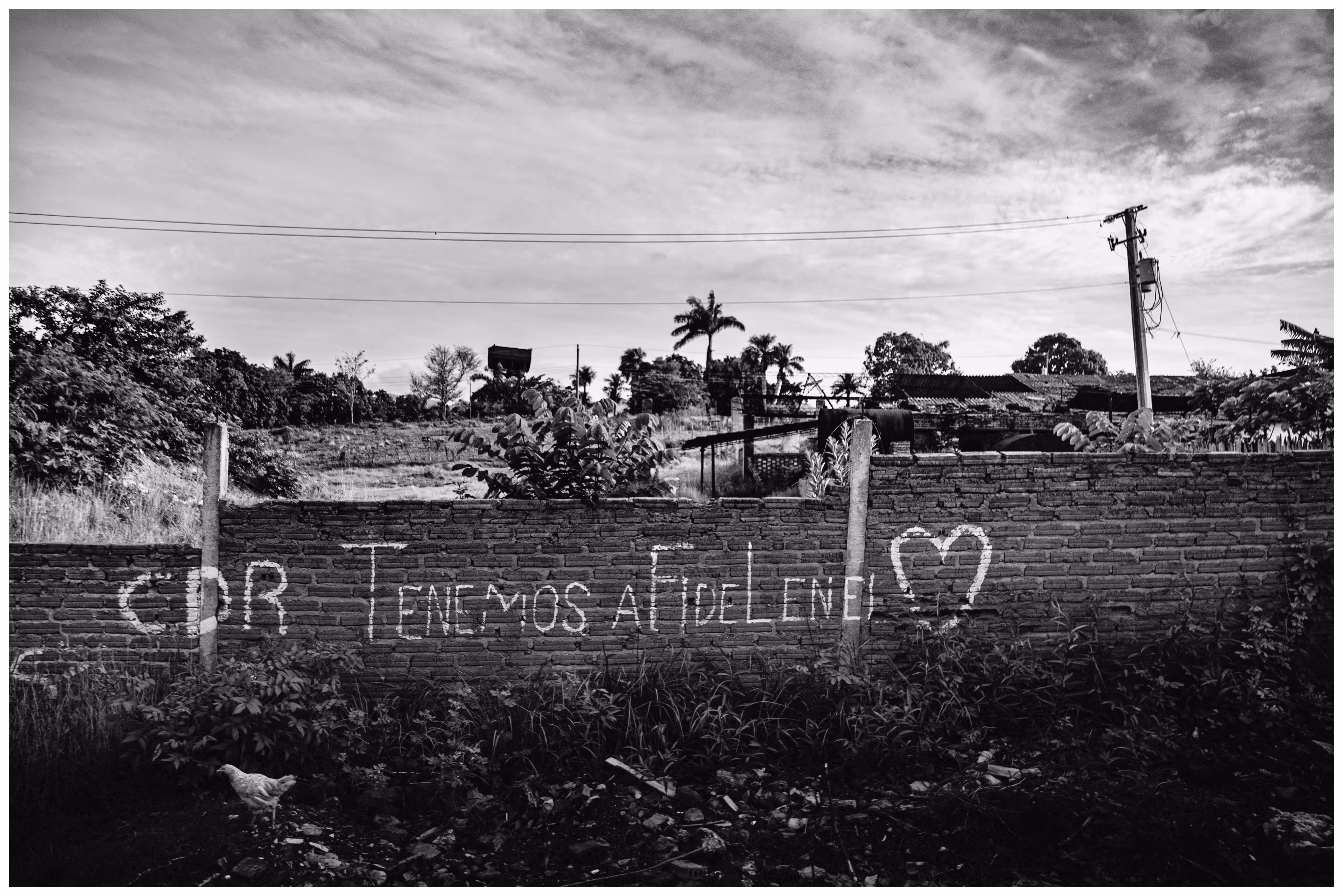 Fidel in love