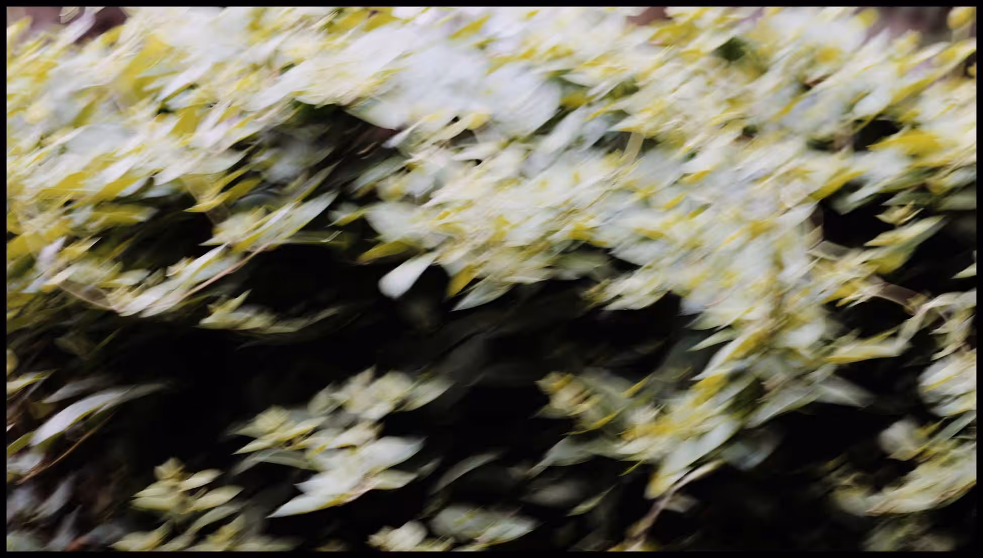 FLY: vibration