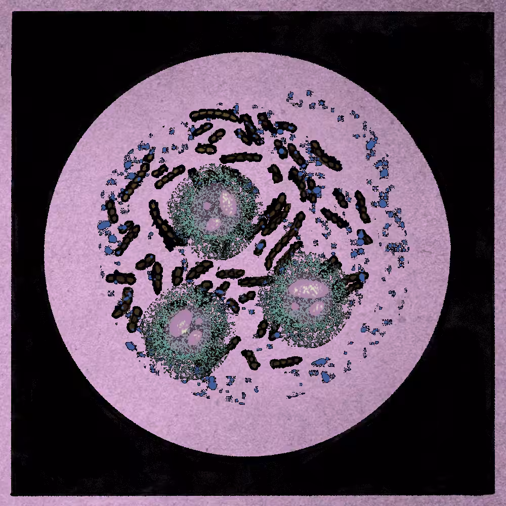 Microbes #114
