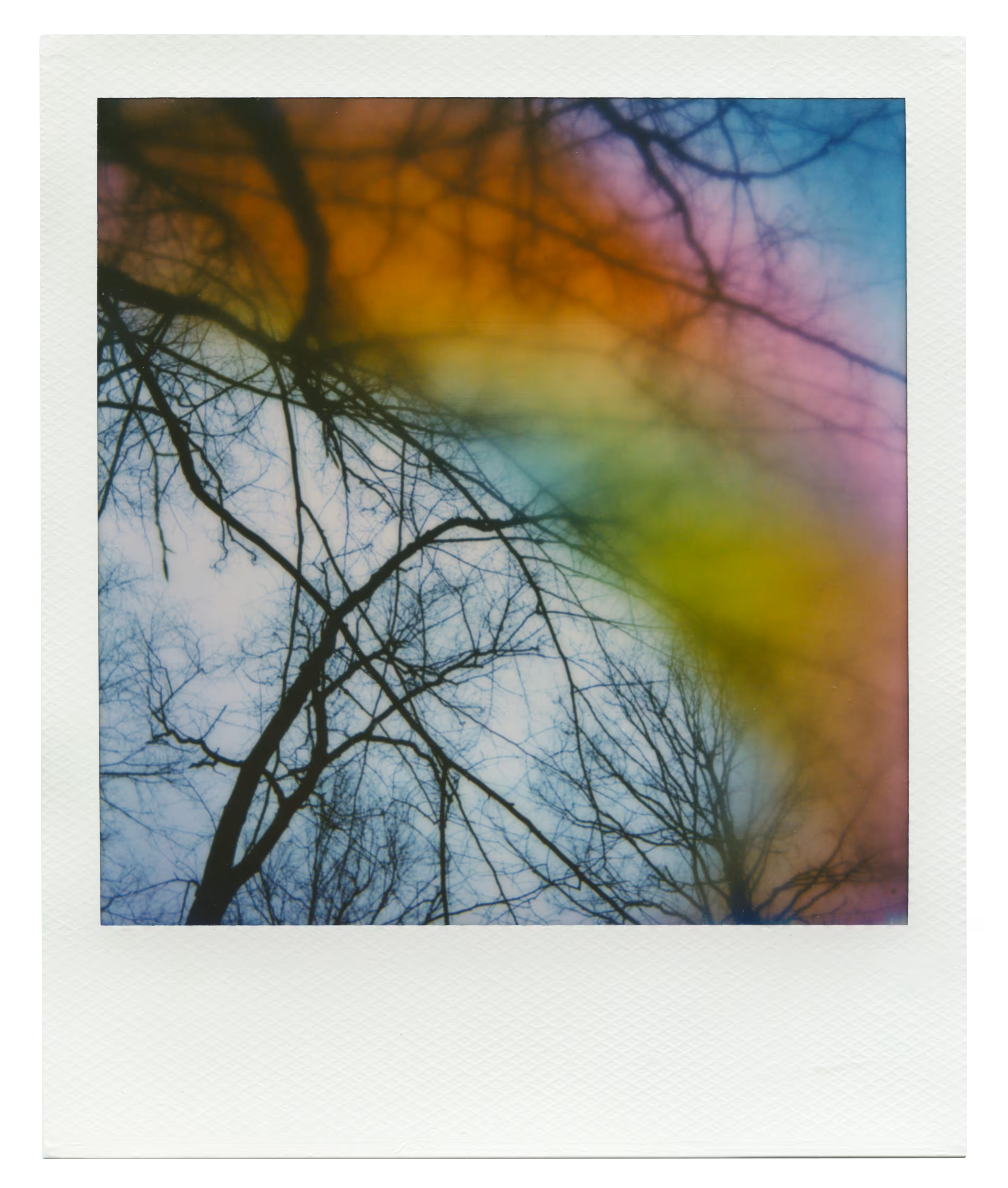 Manifestation