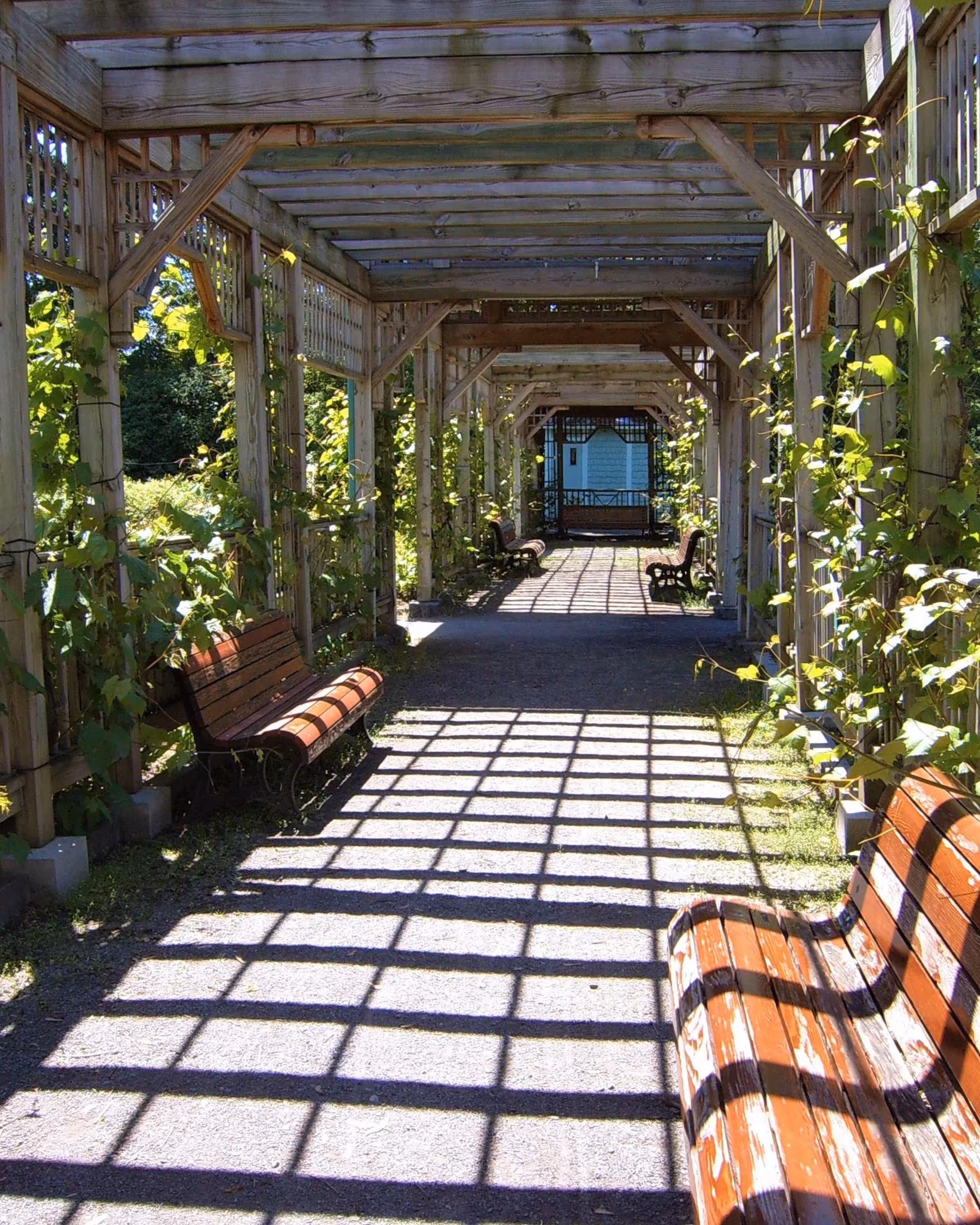Pleasant Pergola