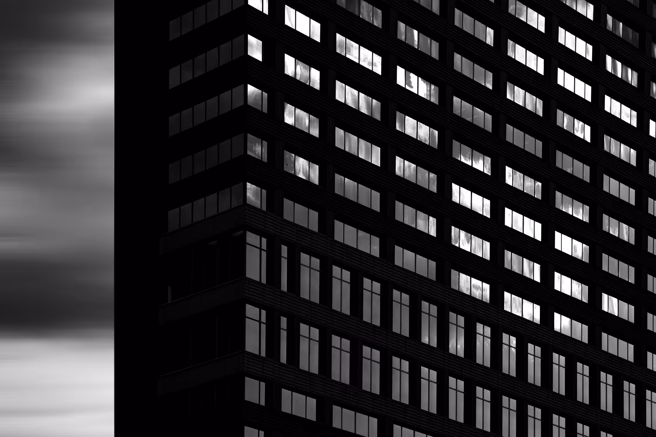 2023 Everyday NFT #020