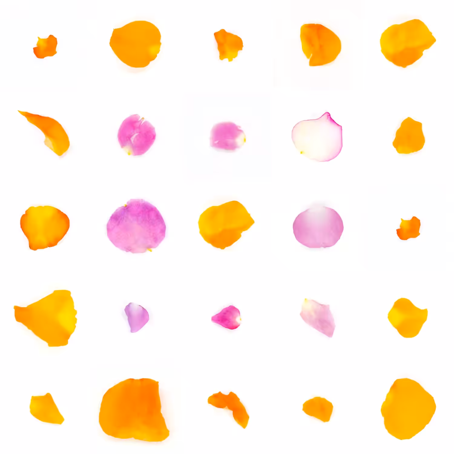Infinite Petals 5x5#3567