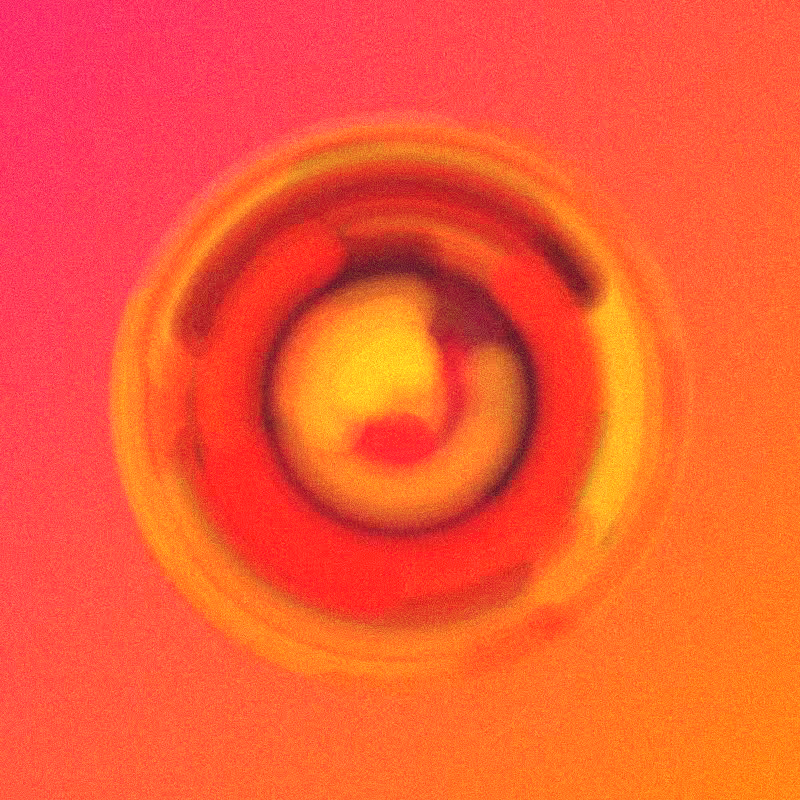 Wisp #750