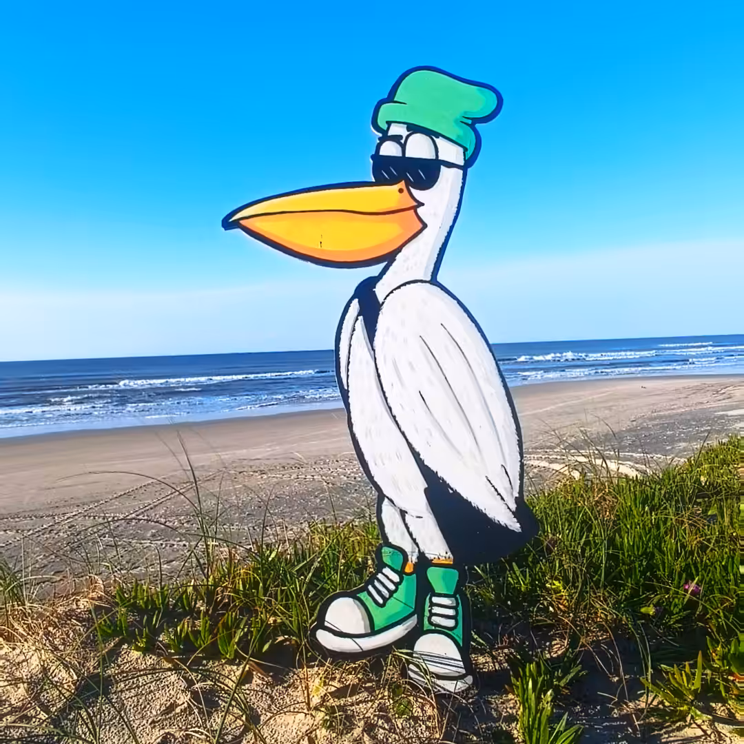 Chill Pelican