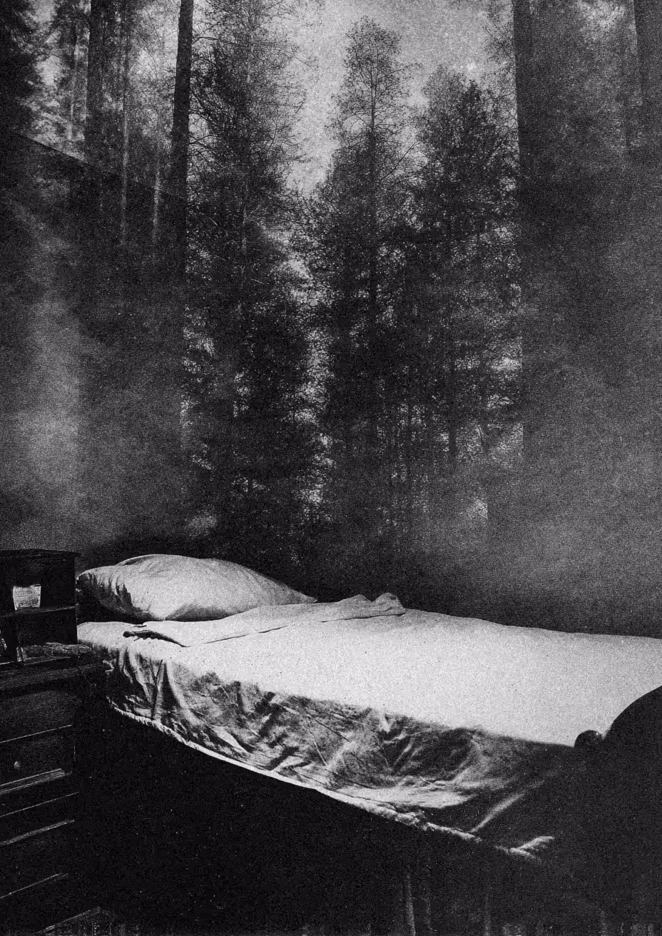 dream of the insomniac #19