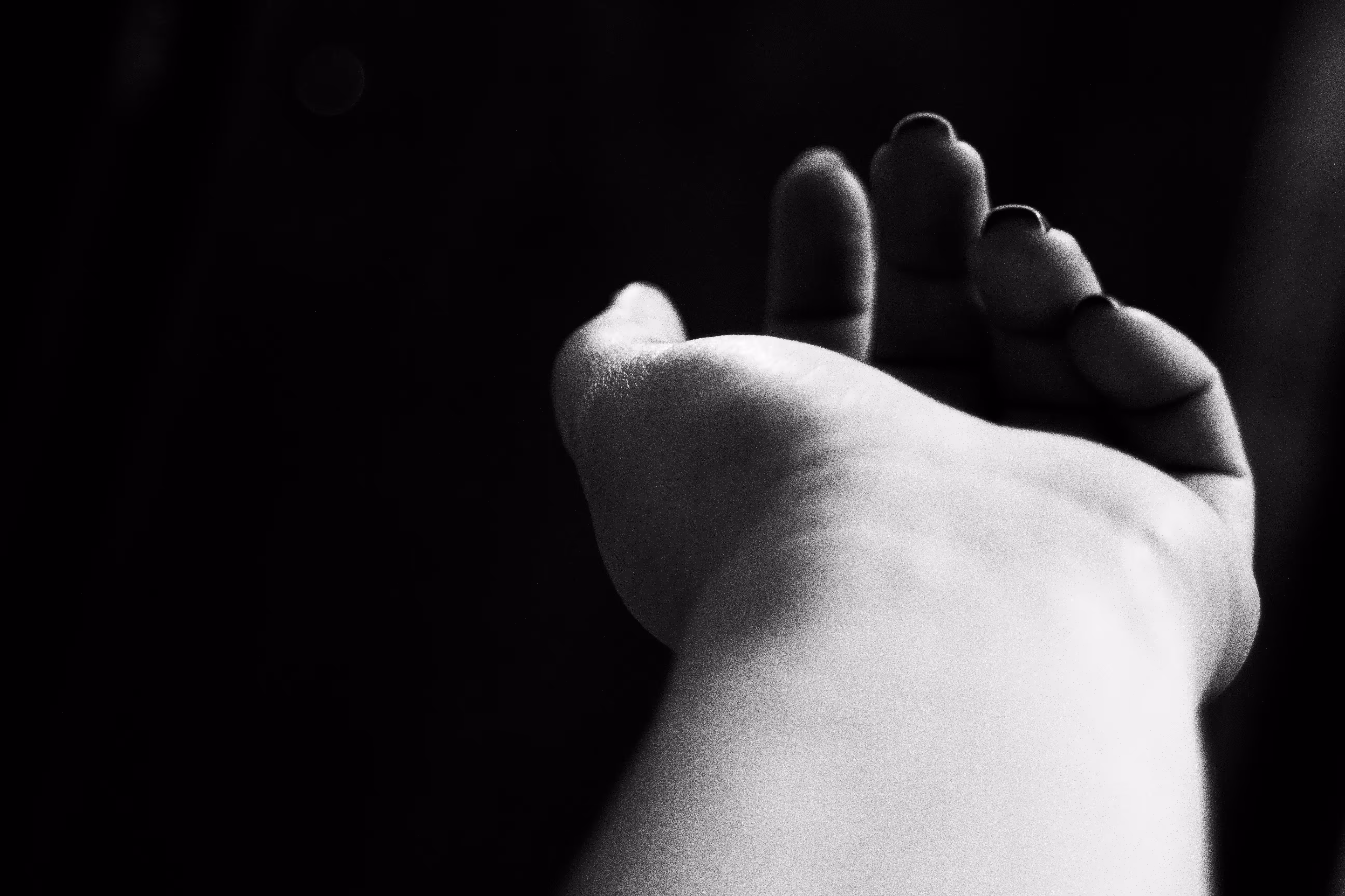 The Hand I Offer You
