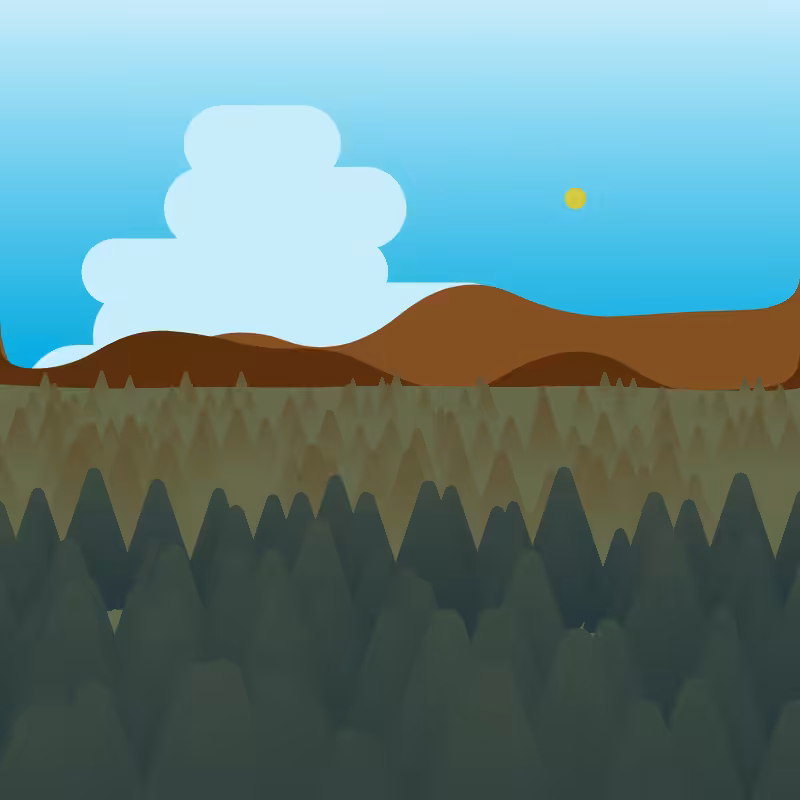 Camping in the Forest #3
