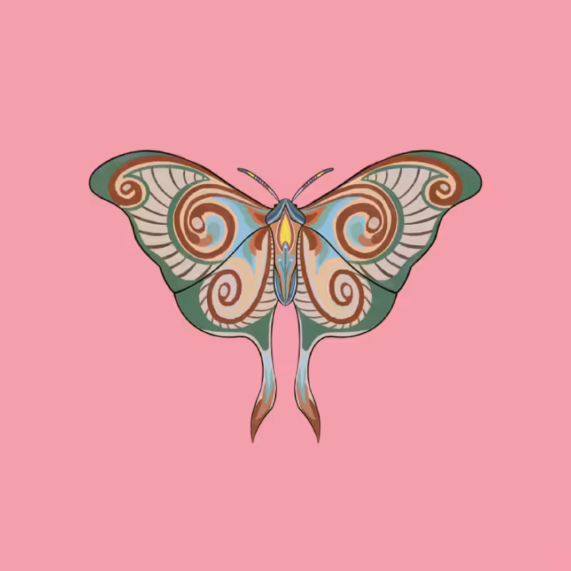 The Moth Experiment 2.0 P2 #34