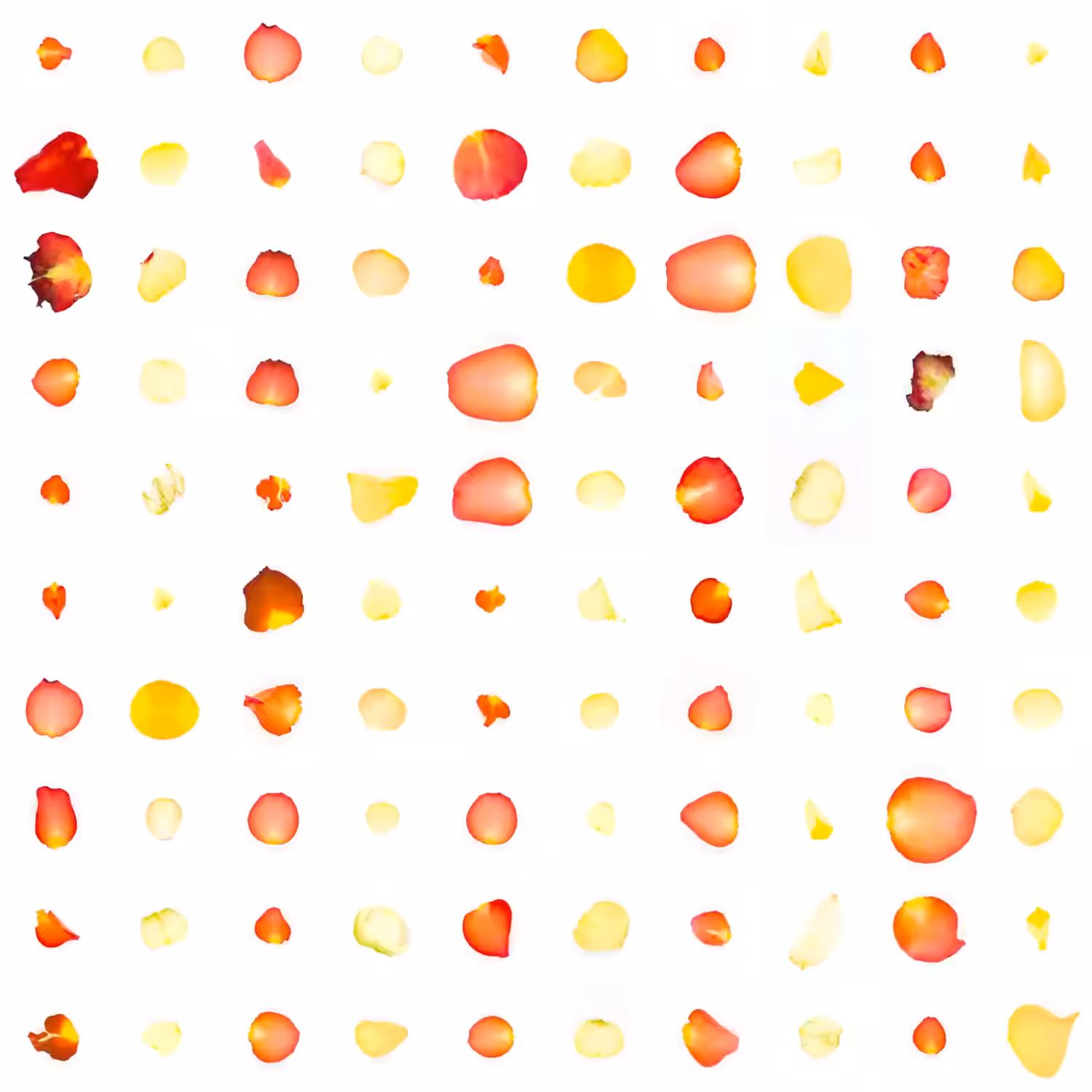Infinite Petals 10x10#2502