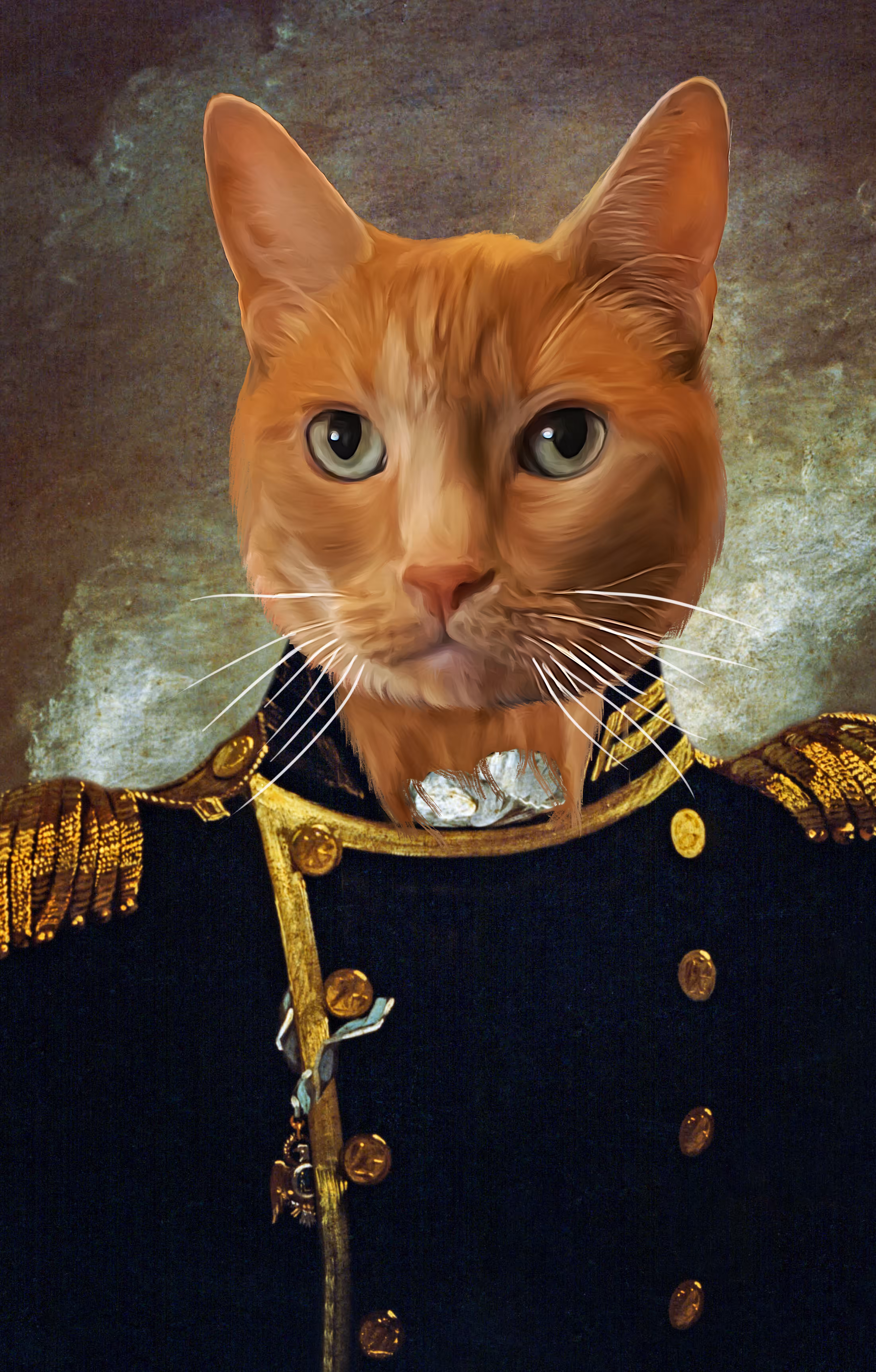 Admiral Liam