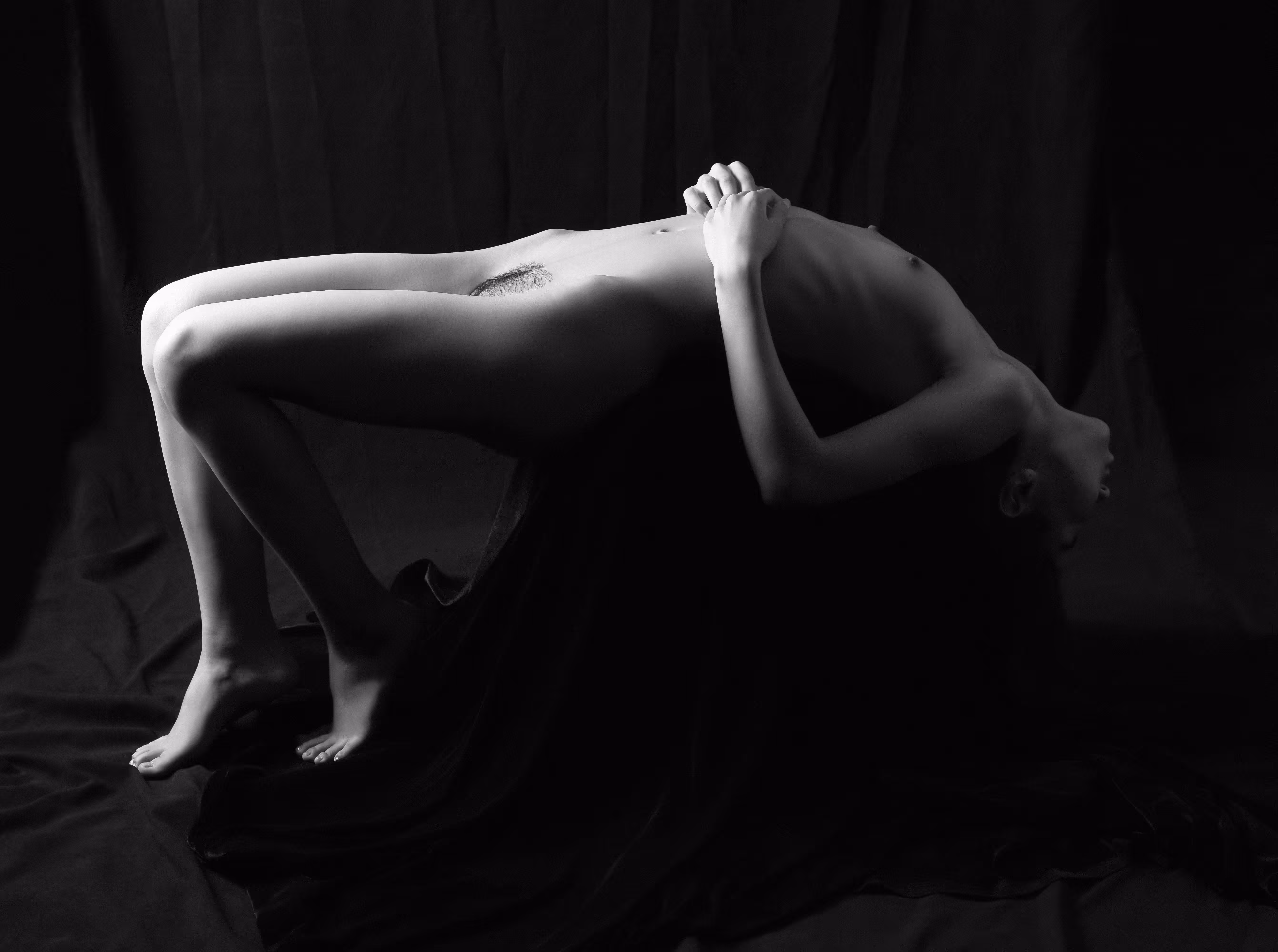 Fold