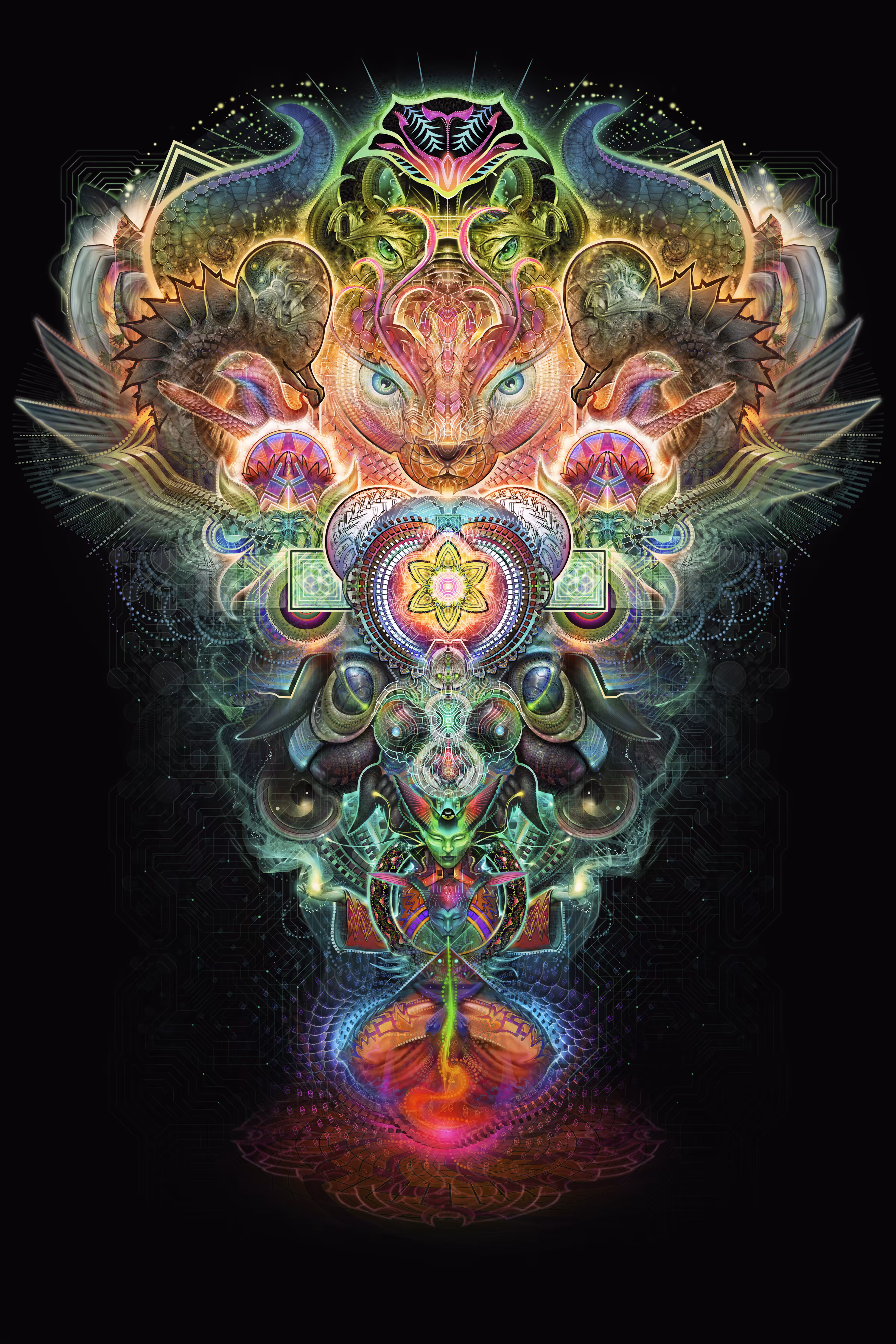Punku - The Doorway