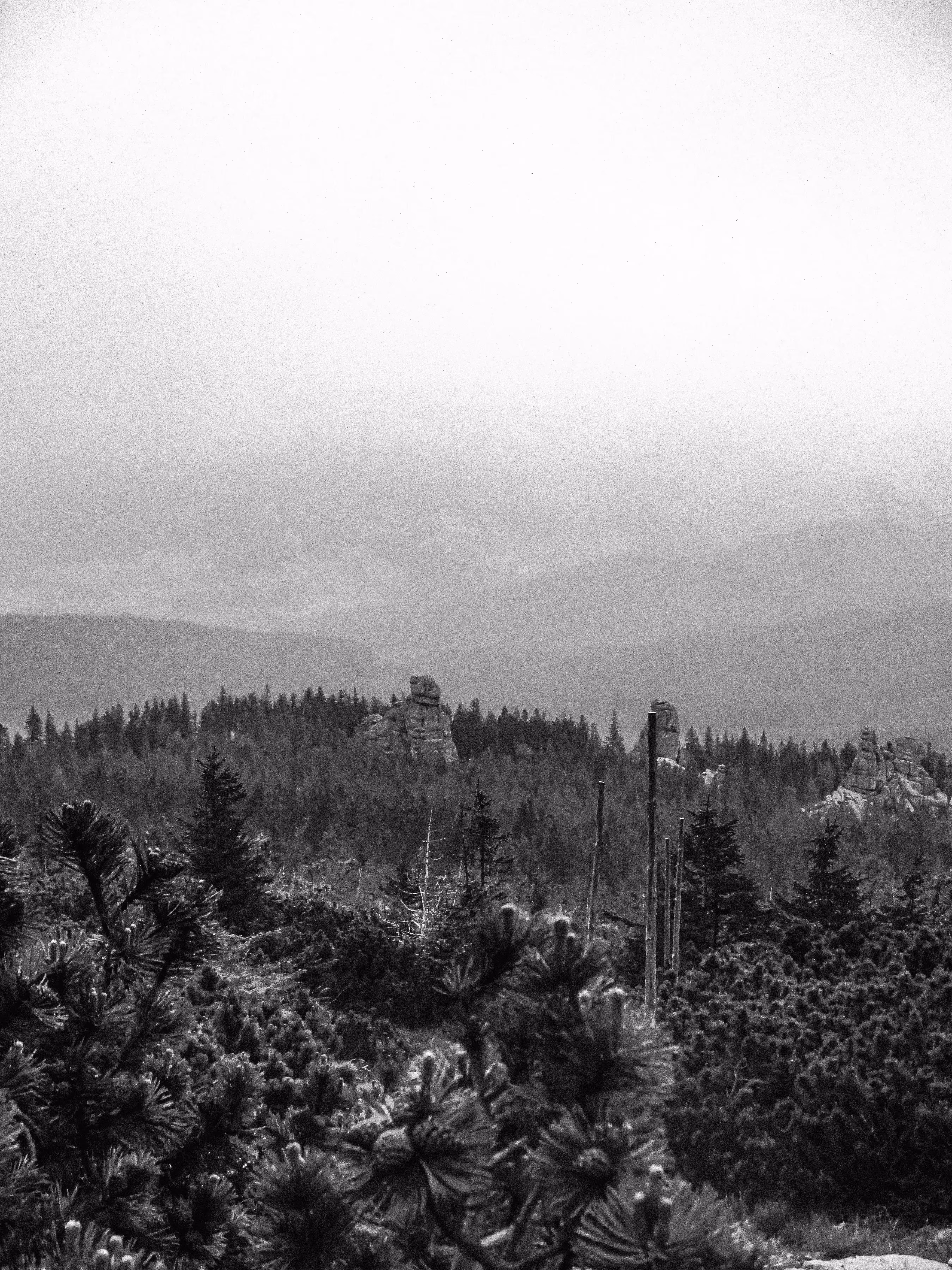 Monochrome Nature #004