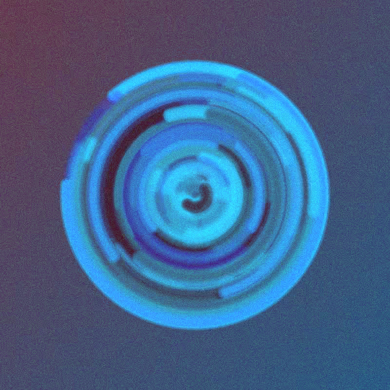 Wisp #215