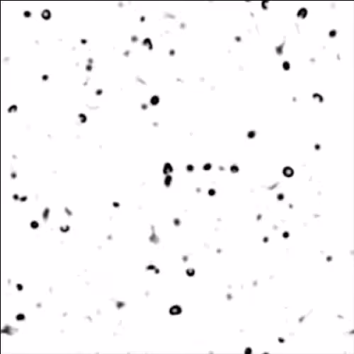 non-equilibrium bubbles: 4