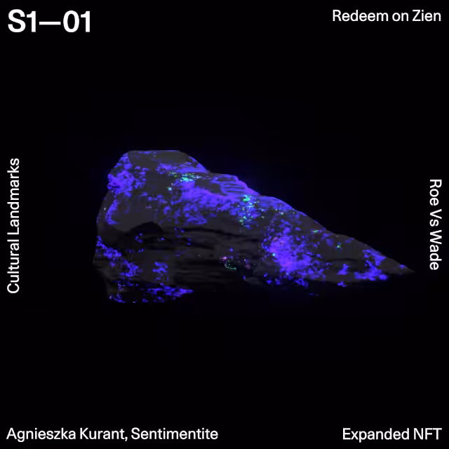 Sentimentite by Agnieszka Kurant 98/100
