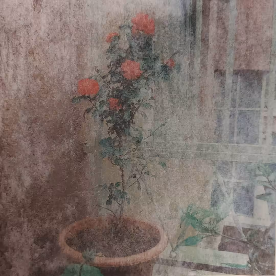Dust of time 1/1