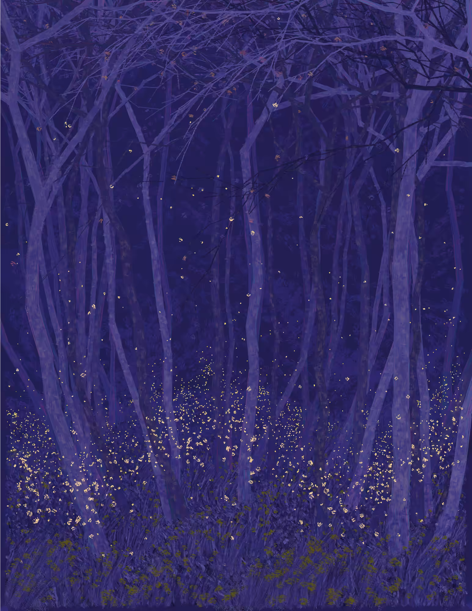 Deep Forest #52