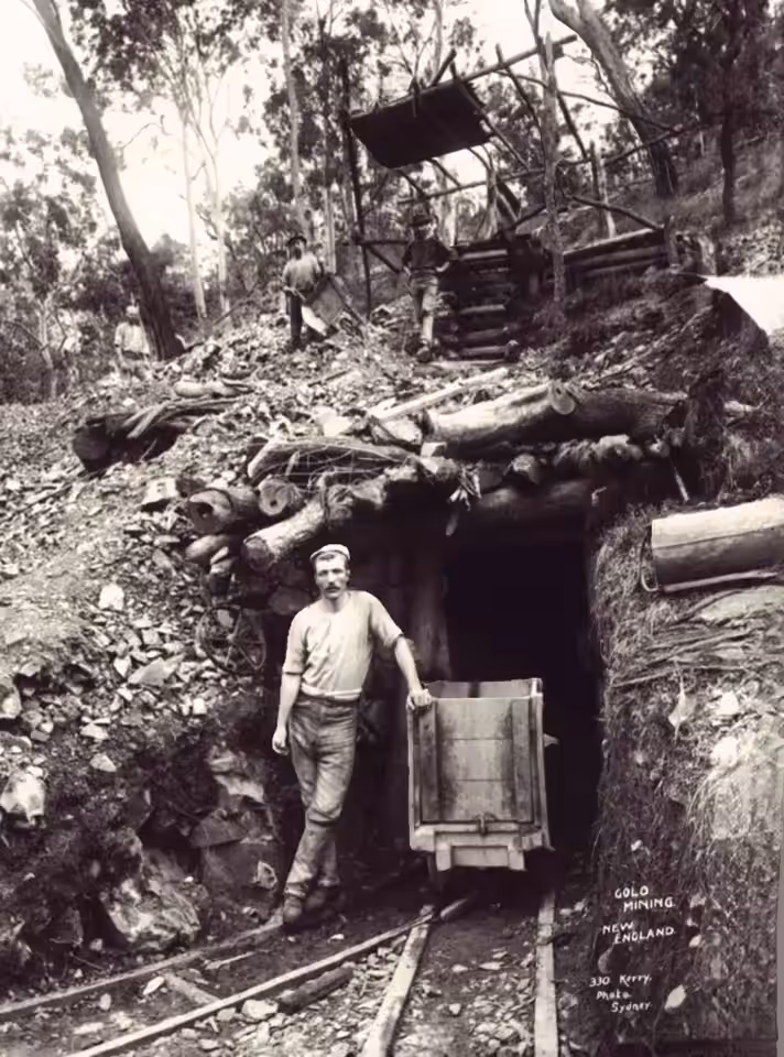 Ultra Rare Gold Mine 