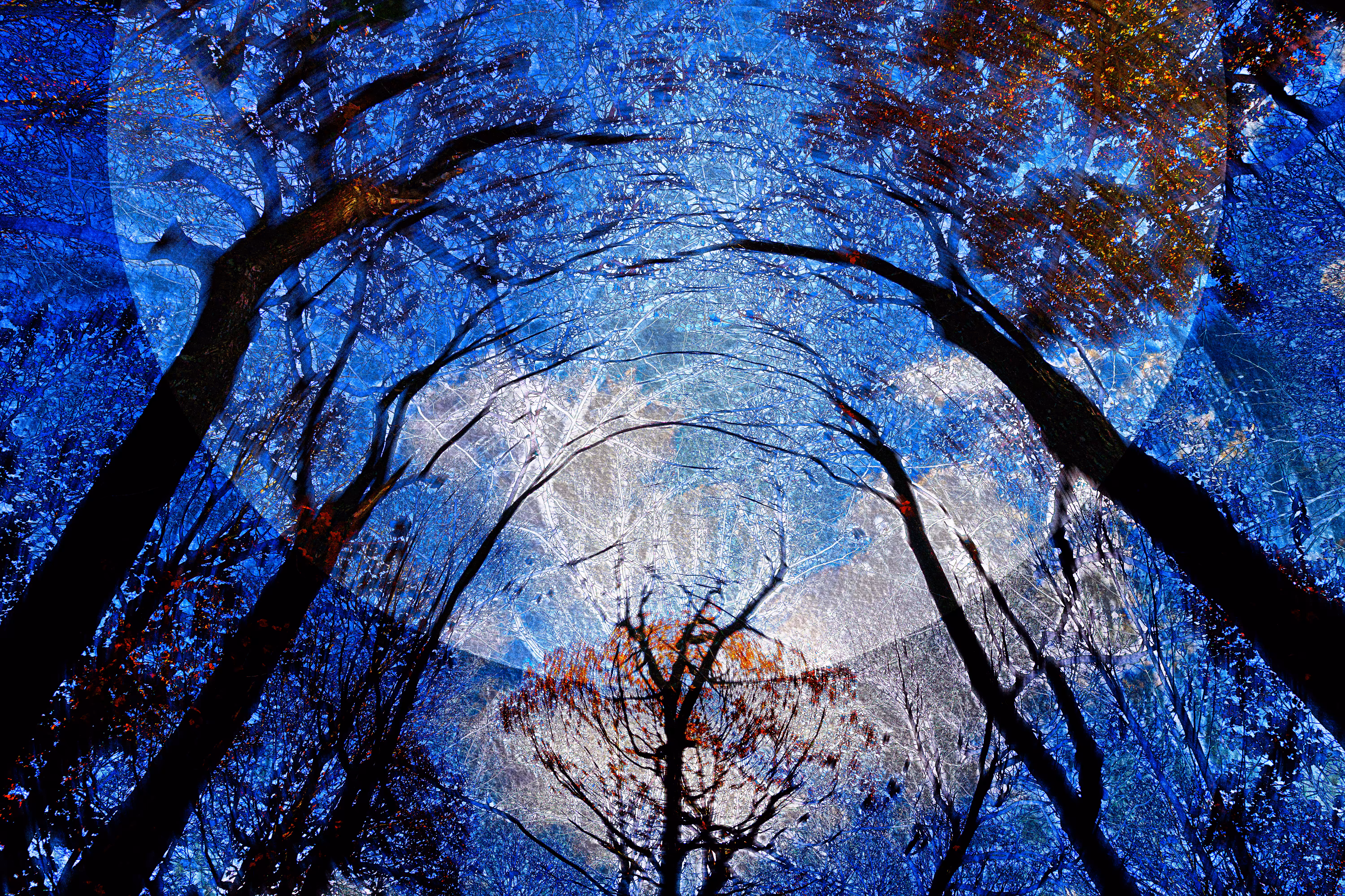 The Threshold of Elsewhere