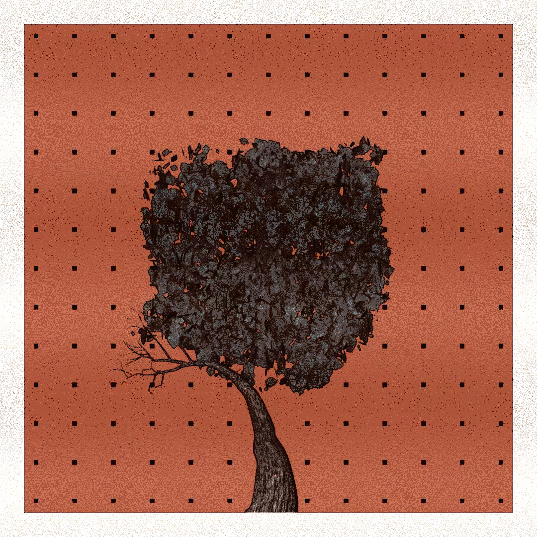 _argania[primaria] #262