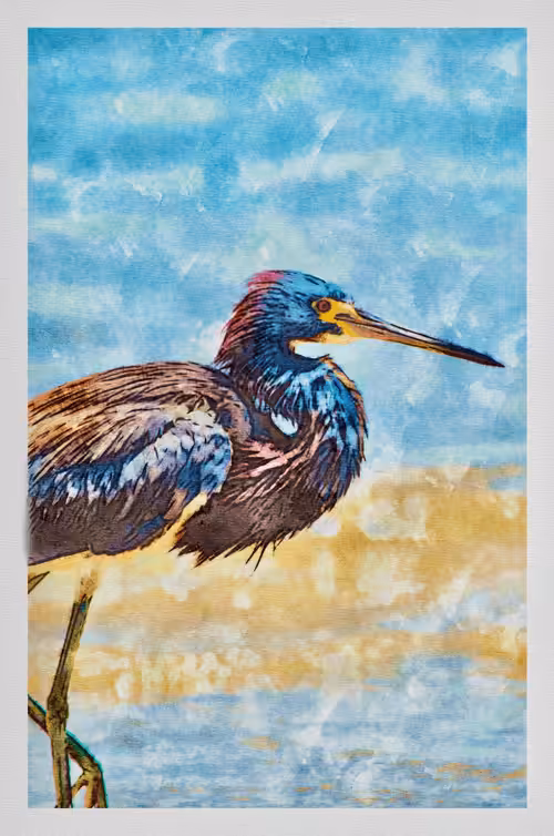 Watercolored 091