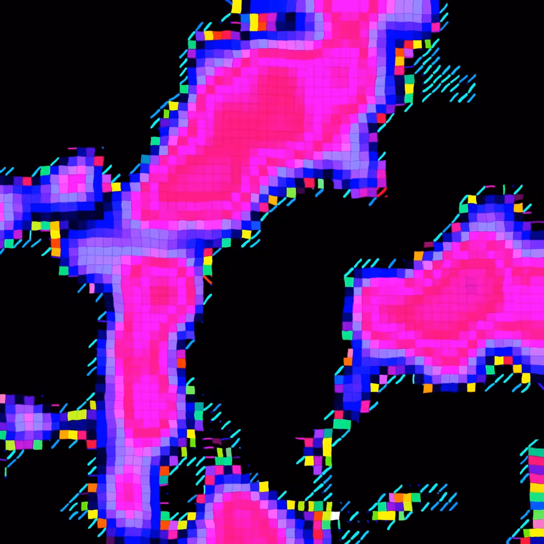 Archaea
