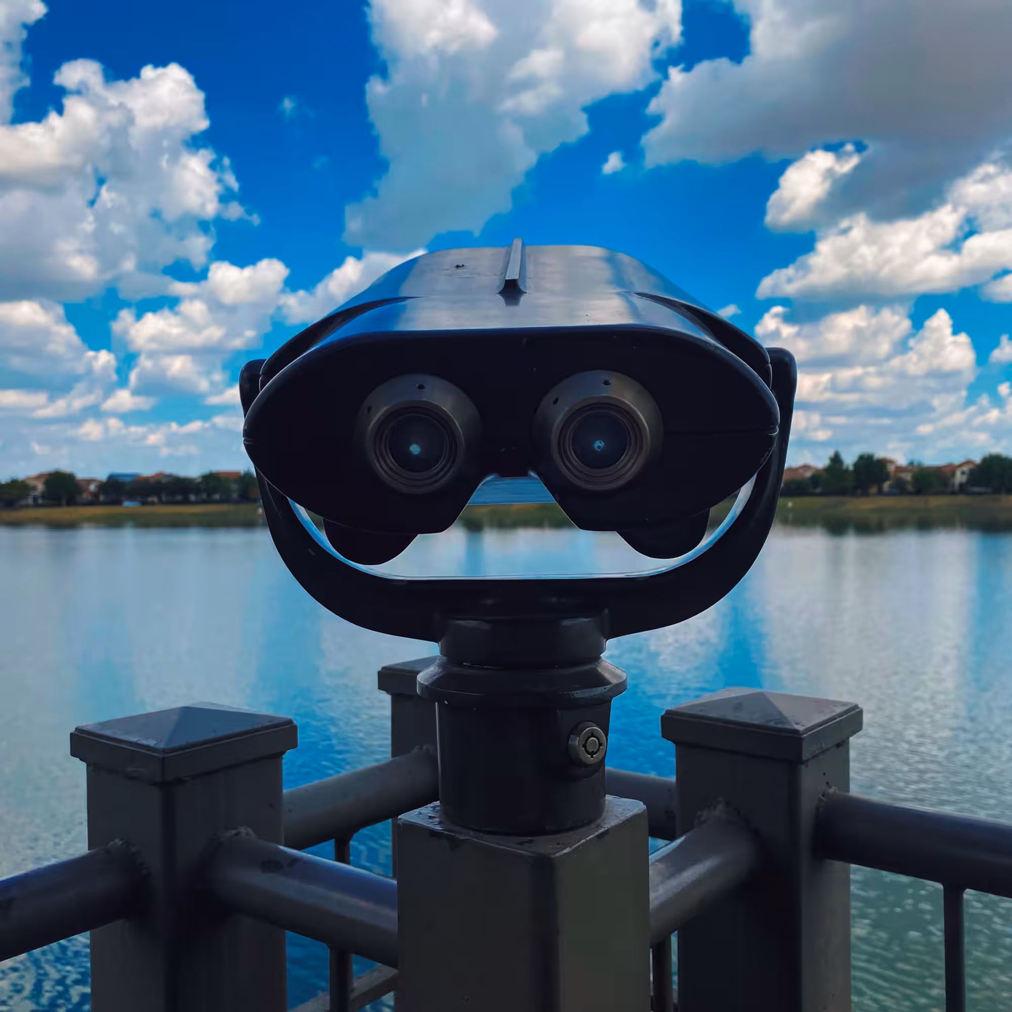 Look to the Skys