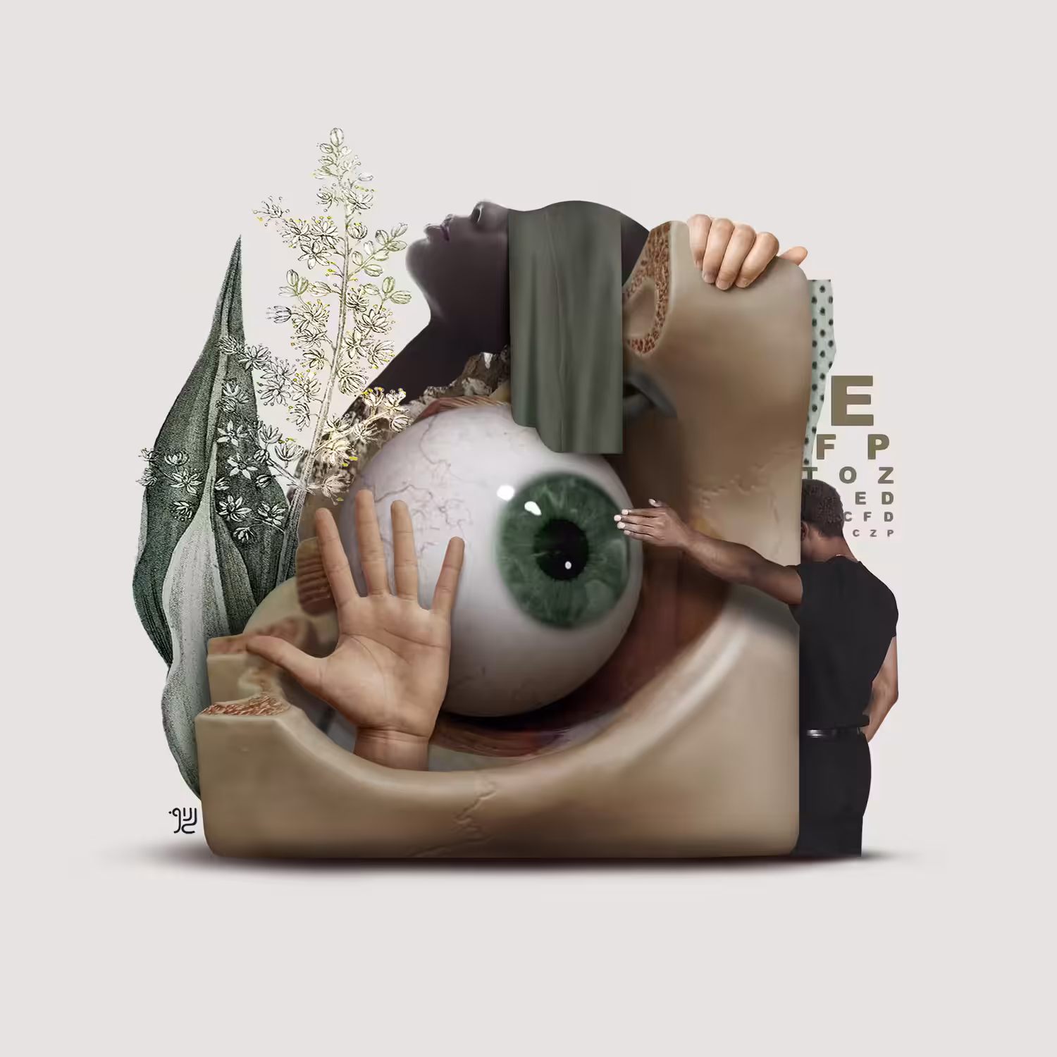 The Eye