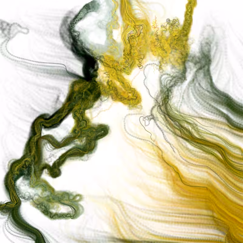 Hypericum #86