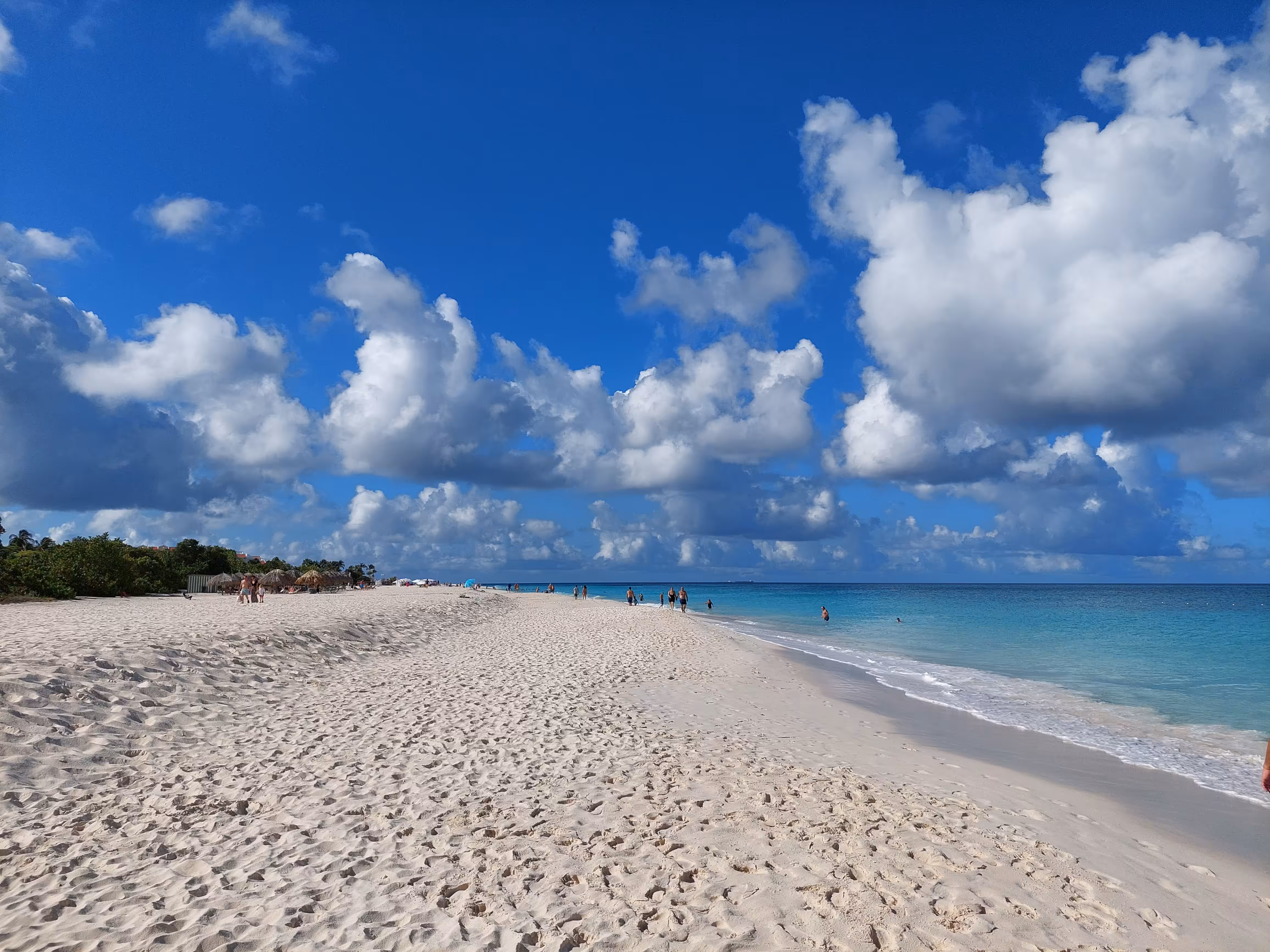 Beautiful dreams: Beach Bonanza