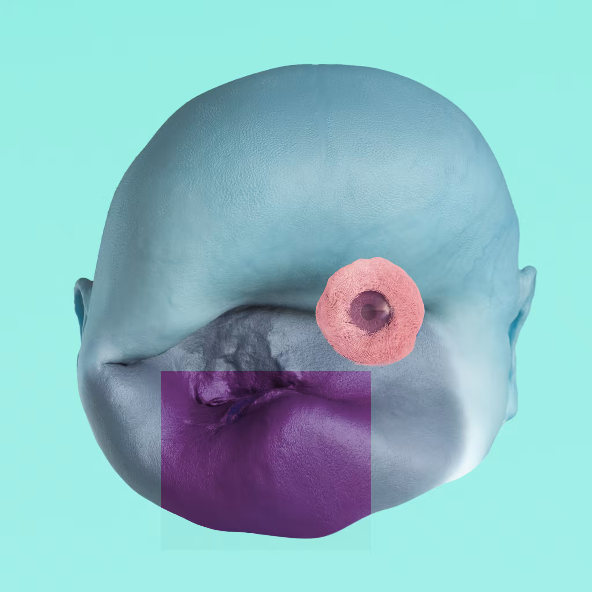 DEGEN #024