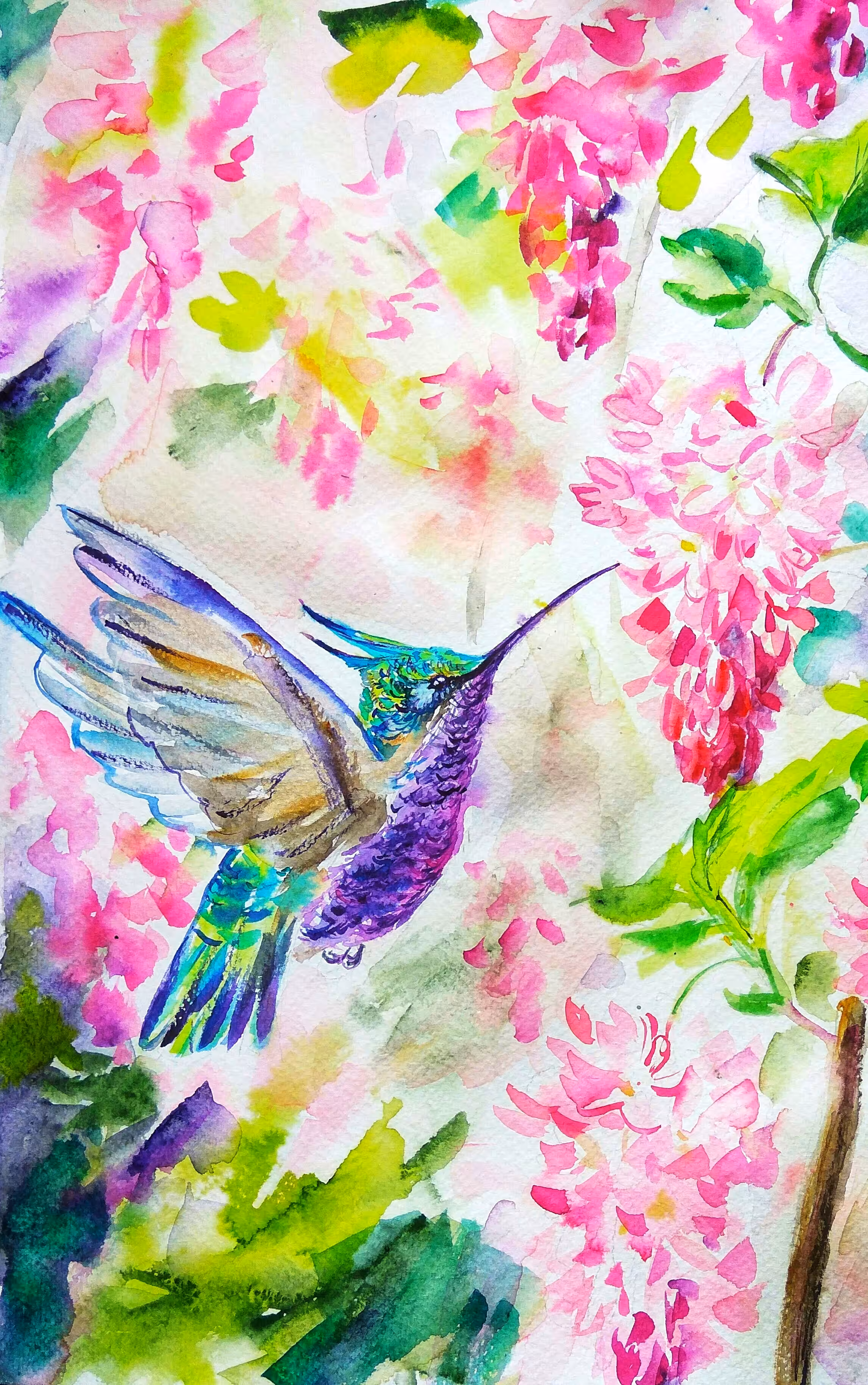 Social Butterfly