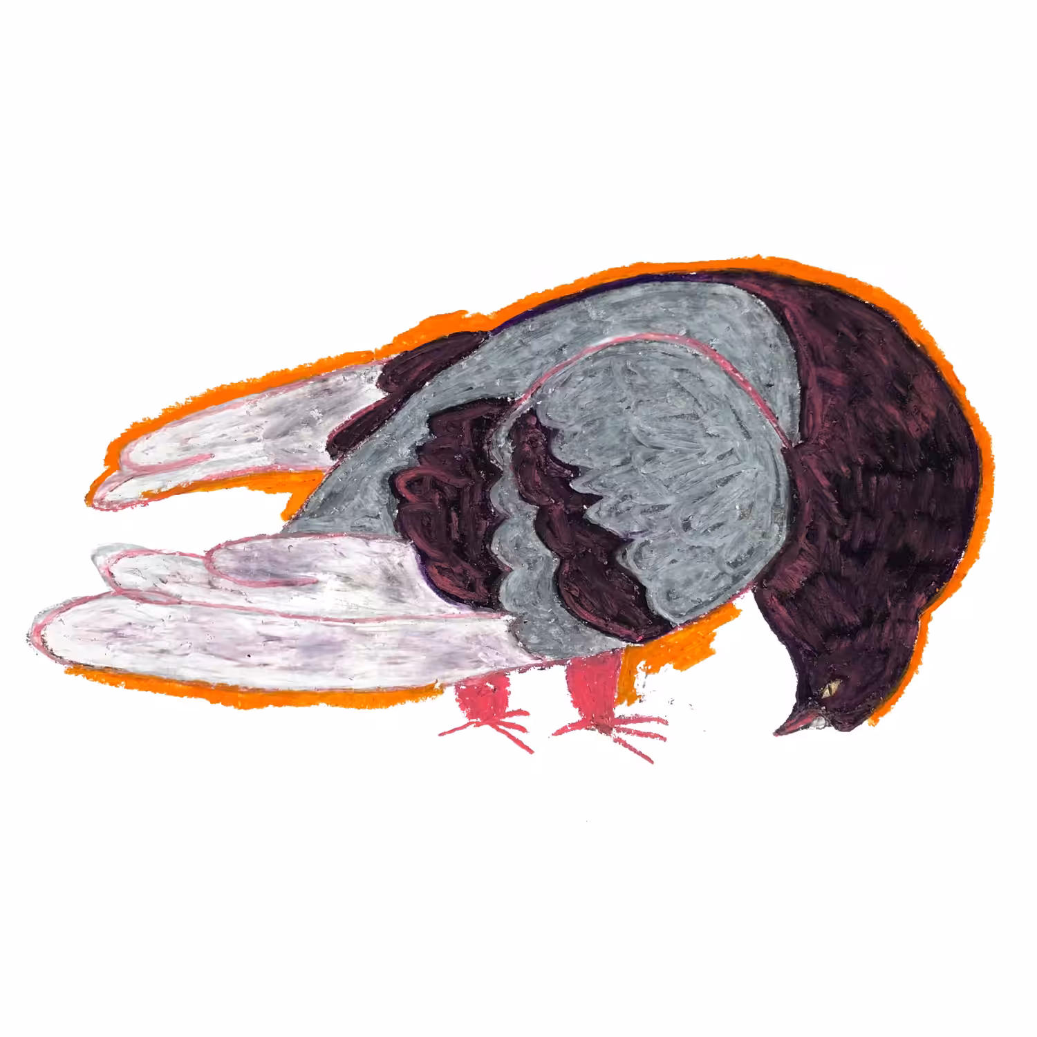 Ill Pigeon