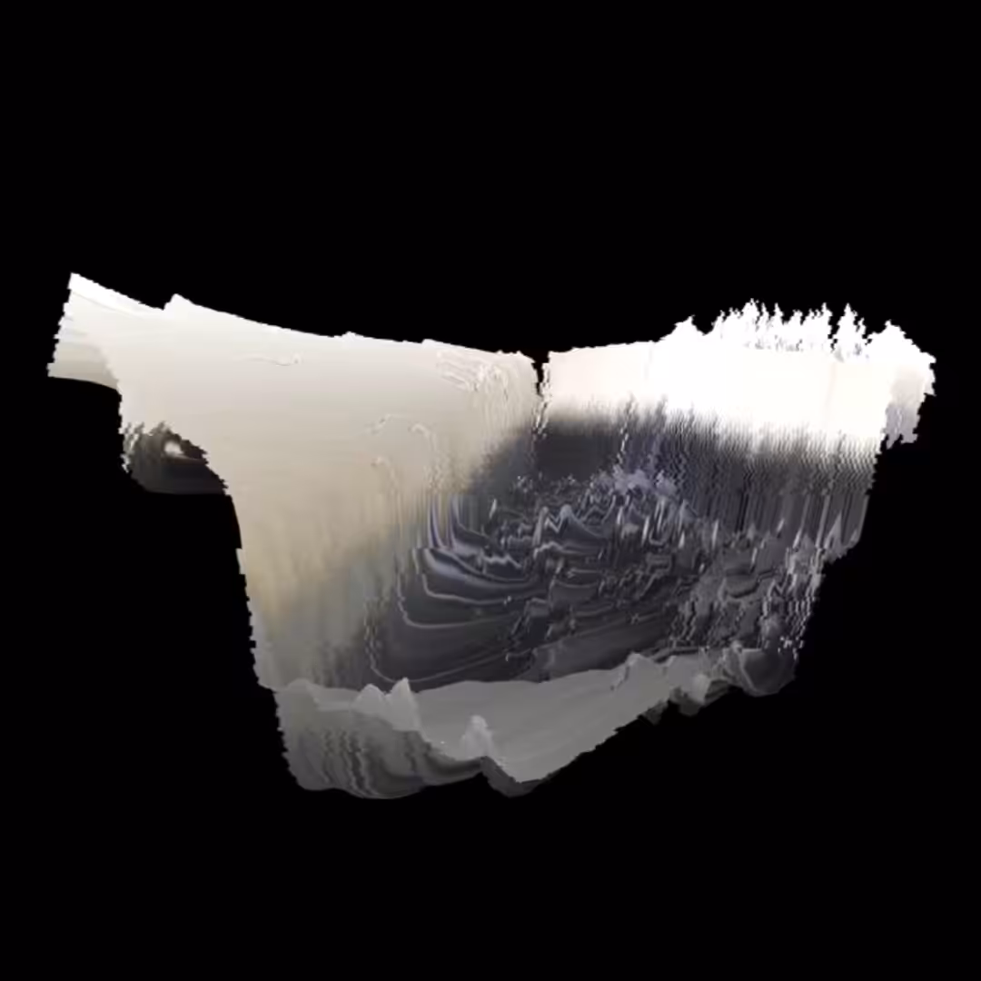 Collapsing ladscapes #001