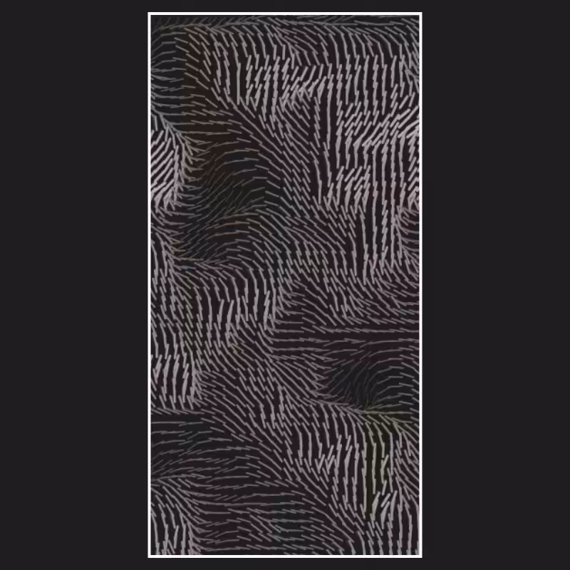 "String" Theory #14