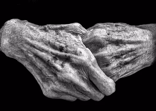 Hands