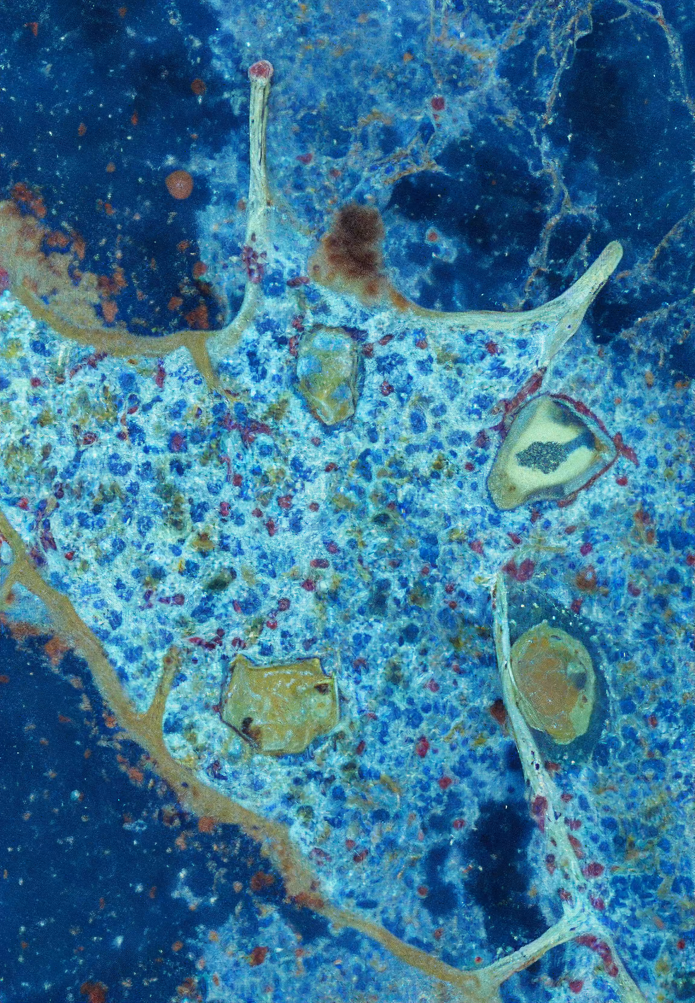 In Vivo, In Vitro, In Silico: Histologia In Silico #88