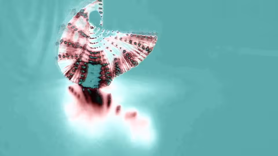 FREEFALL